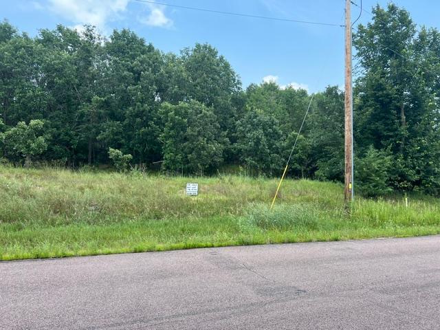 View of Land at xxx 245th Avenue, Big Lake MN 55309, Big Lake - Mike Wilen | Minnesota Team Real Estate