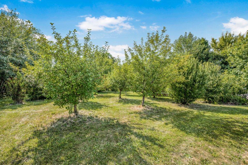 View of Residential at 5345 Oxford Avenue, Watertown MN 55388, Watertown (27 of 51) - Mike Wilen | Minnesota Team Real Estate
