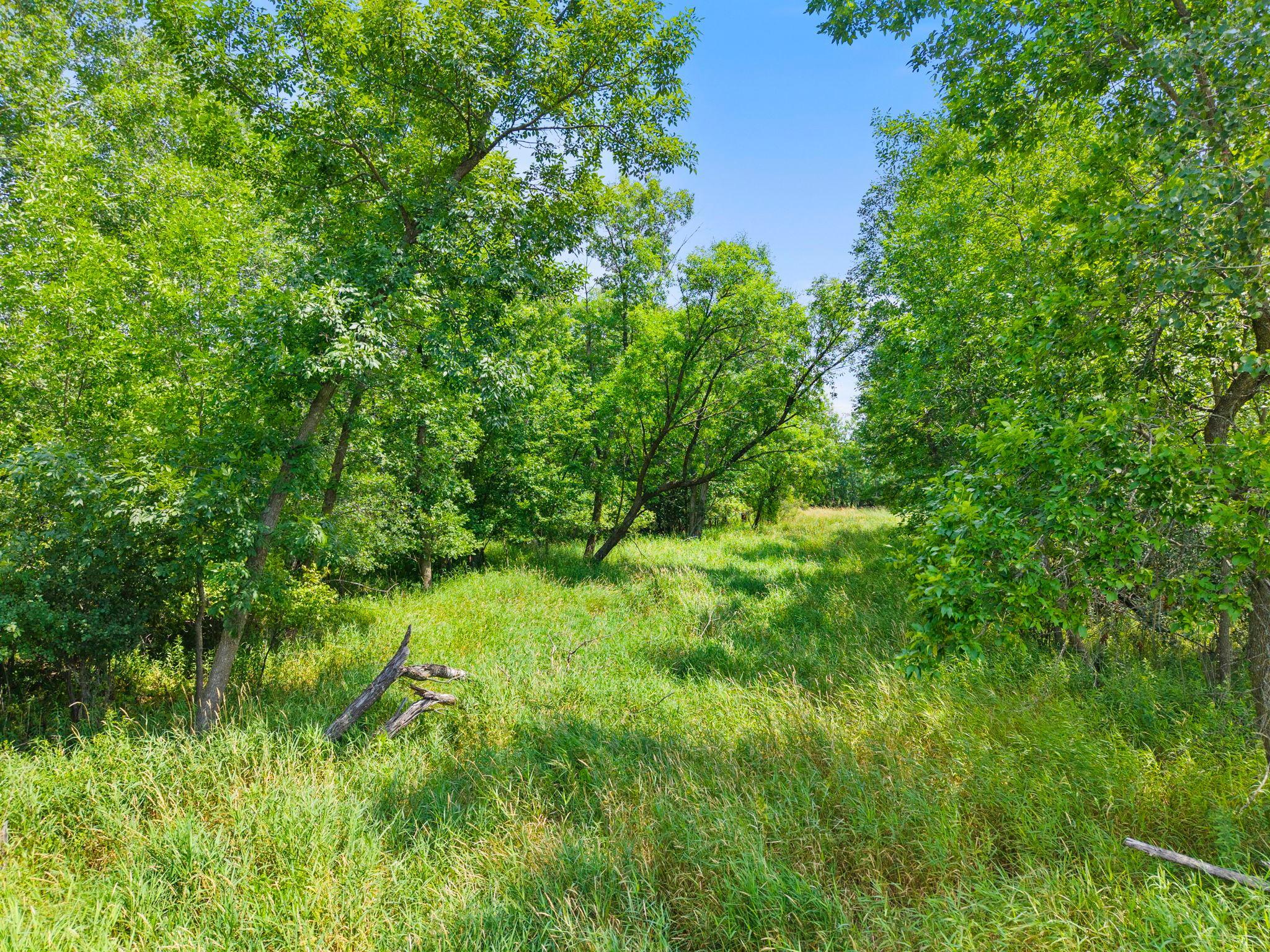 View of Land at Lot 4 321st Avenue, Princeton MN 55371, Princeton (4 of 8) - Mike Wilen | Minnesota Team Real Estate