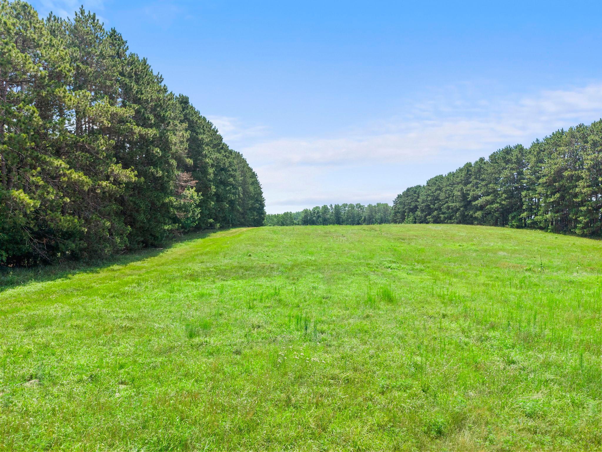View of Land at Lot 1 321st Avenue, Princeton MN 55371, Princeton (7 of 8) - Mike Wilen | Minnesota Team Real Estate