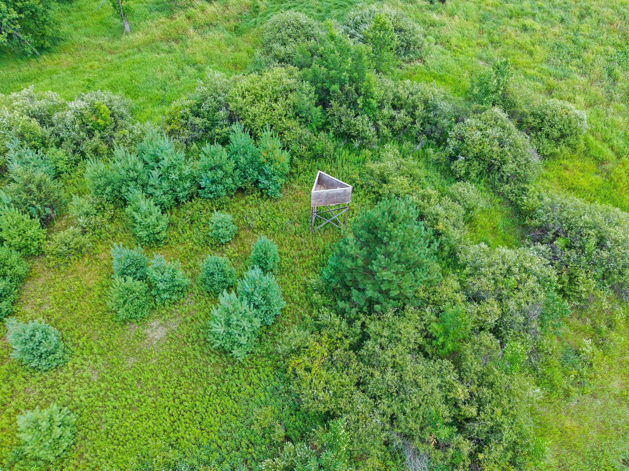 View of Land at Lot 1 321st Avenue, Princeton MN 55371, Princeton (2 of 8) - Mike Wilen | Minnesota Team Real Estate