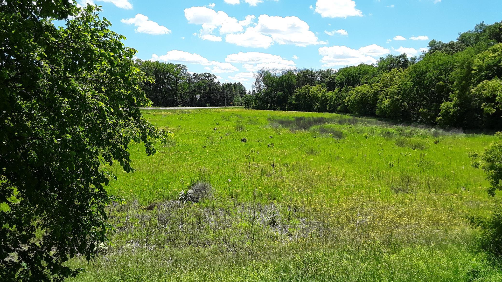 View of Land at Lot 1 Block 2 Kettle River Boulevard, Columbus MN 55025, Columbus (8 of 16) - Mike Wilen | Minnesota Team Real Estate