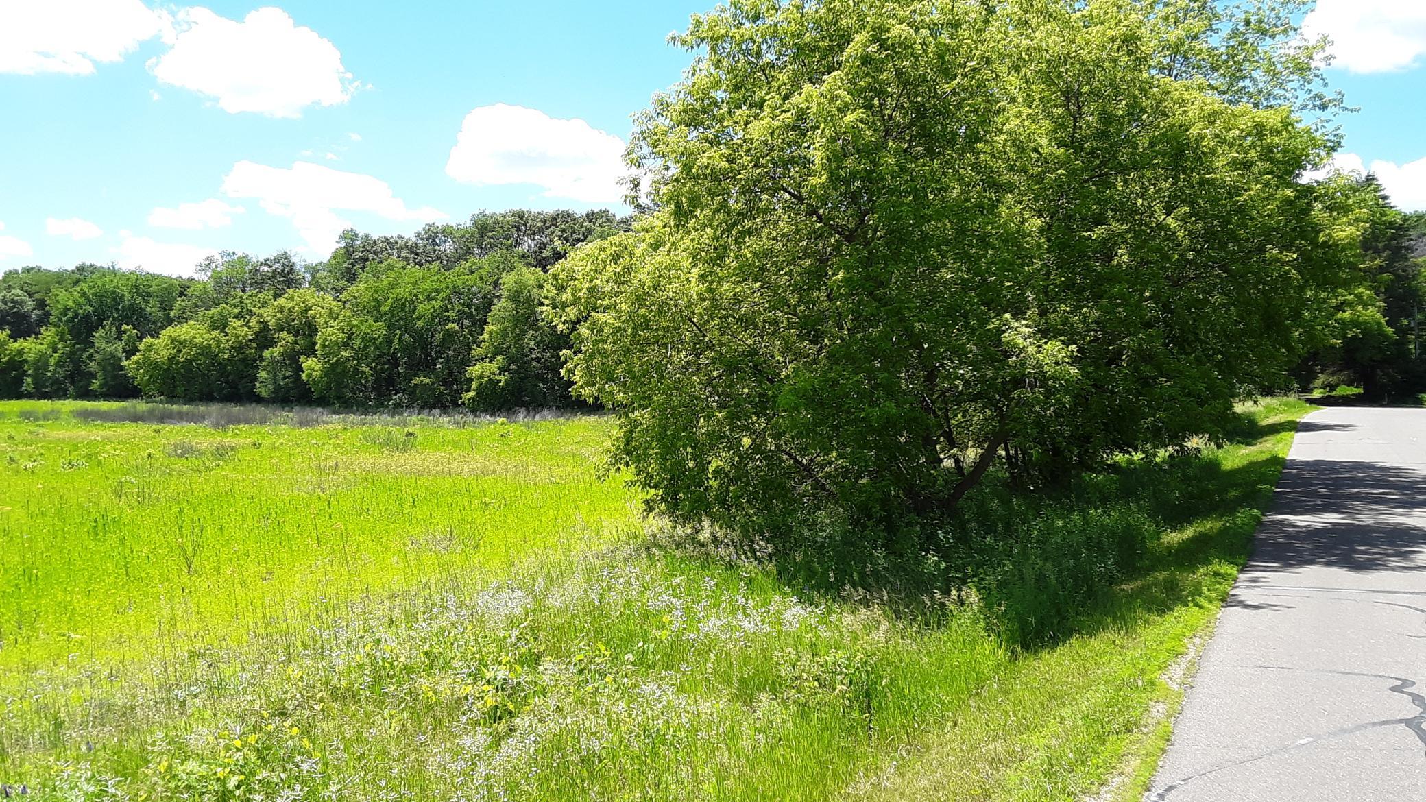 View of Land at Lot 1 Block 2 Kettle River Boulevard, Columbus MN 55025, Columbus (13 of 16) - Mike Wilen | Minnesota Team Real Estate