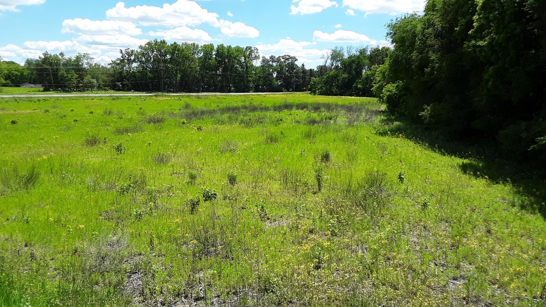 View of Land at Lot 1 Block 2 Kettle River Boulevard, Columbus MN 55025, Columbus (6 of 16) - Mike Wilen | Minnesota Team Real Estate
