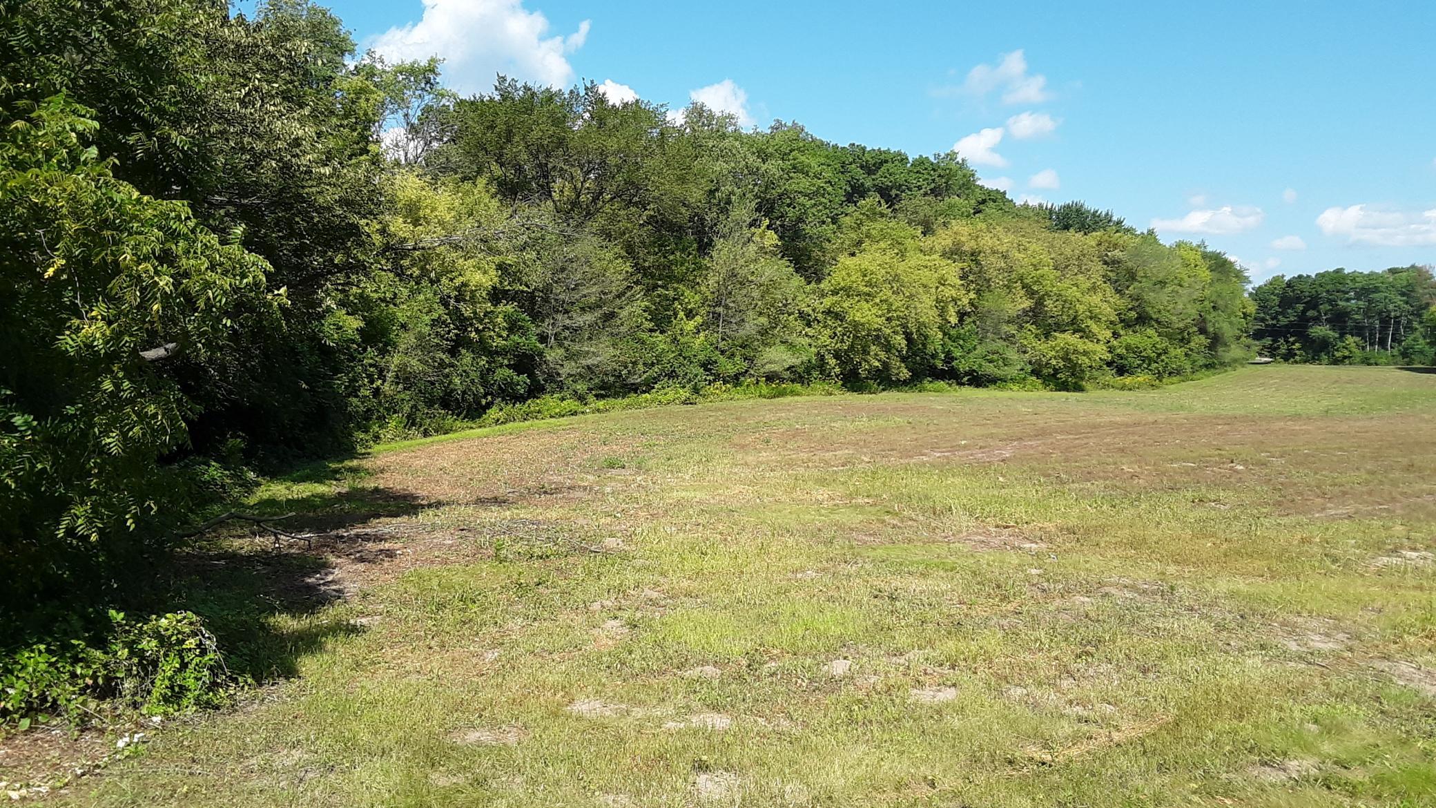 View of Land at Lot 1 Block 2 Kettle River Boulevard, Columbus MN 55025, Columbus (9 of 16) - Mike Wilen | Minnesota Team Real Estate