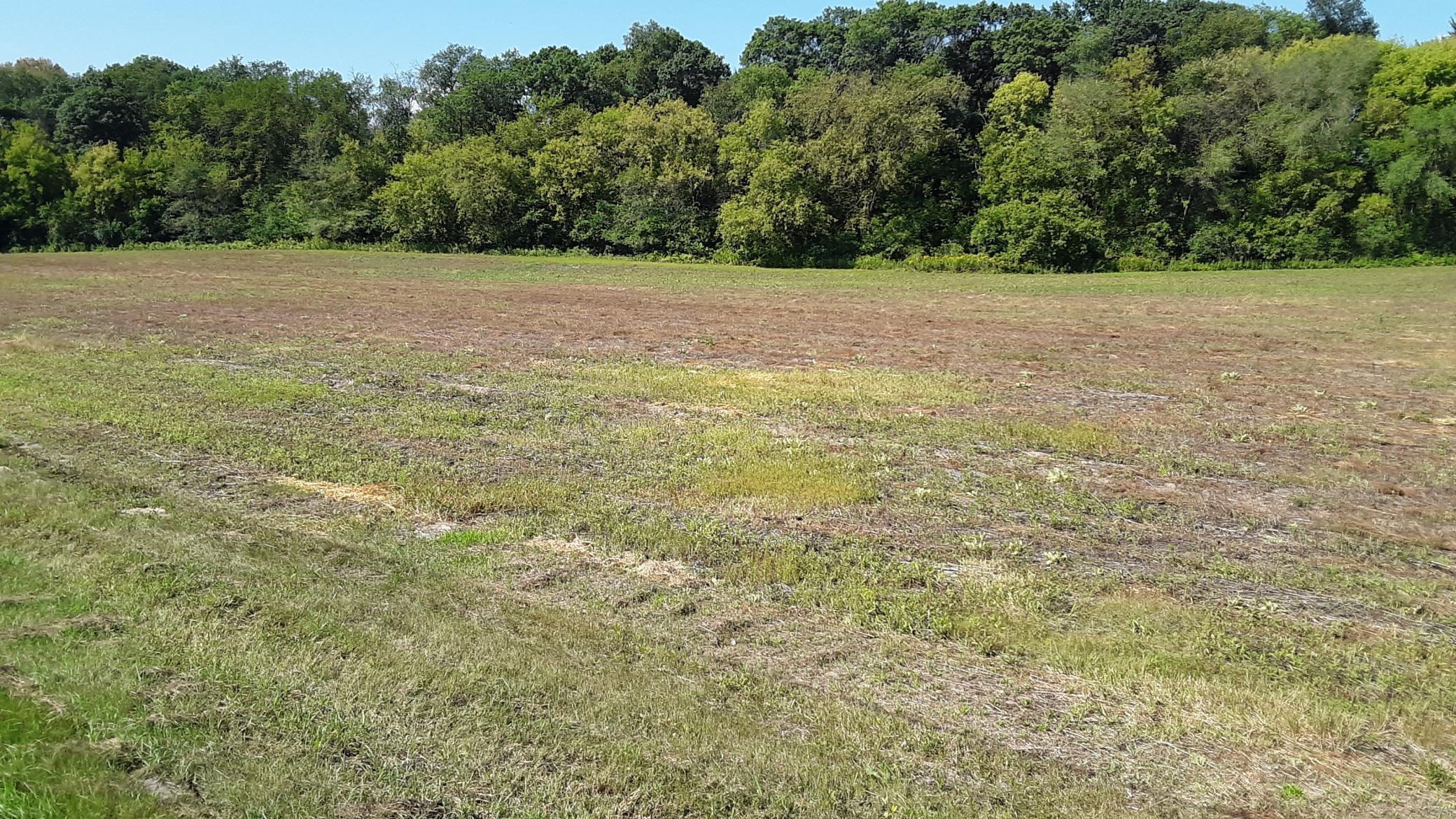 View of Land at Lot 1 Block 2 Kettle River Boulevard, Columbus MN 55025, Columbus (11 of 16) - Mike Wilen | Minnesota Team Real Estate