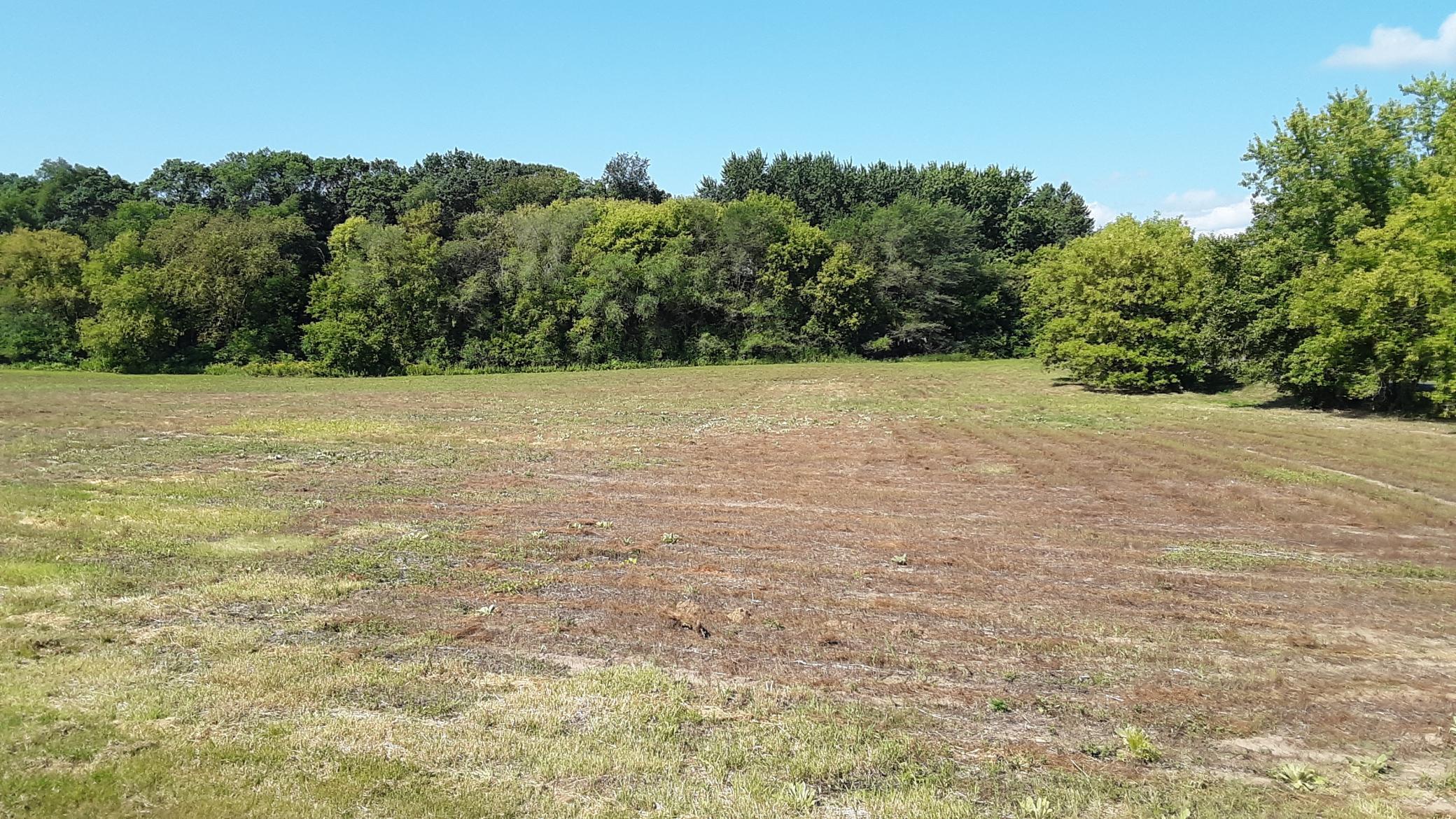 View of Land at Lot 1 Block 2 Kettle River Boulevard, Columbus MN 55025, Columbus (16 of 16) - Mike Wilen | Minnesota Team Real Estate
