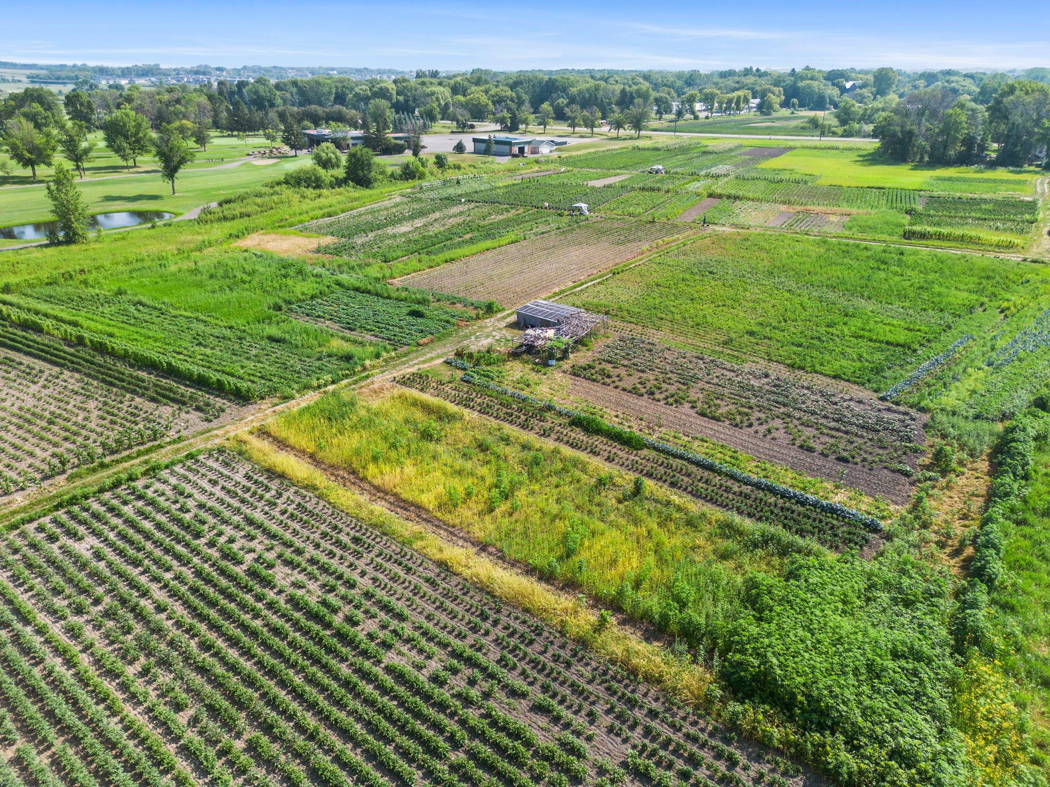 View of Residential at 10625 County Road 116, Corcoran MN 55374, Corcoran (4 of 13) - Mike Wilen | Minnesota Team Real Estate