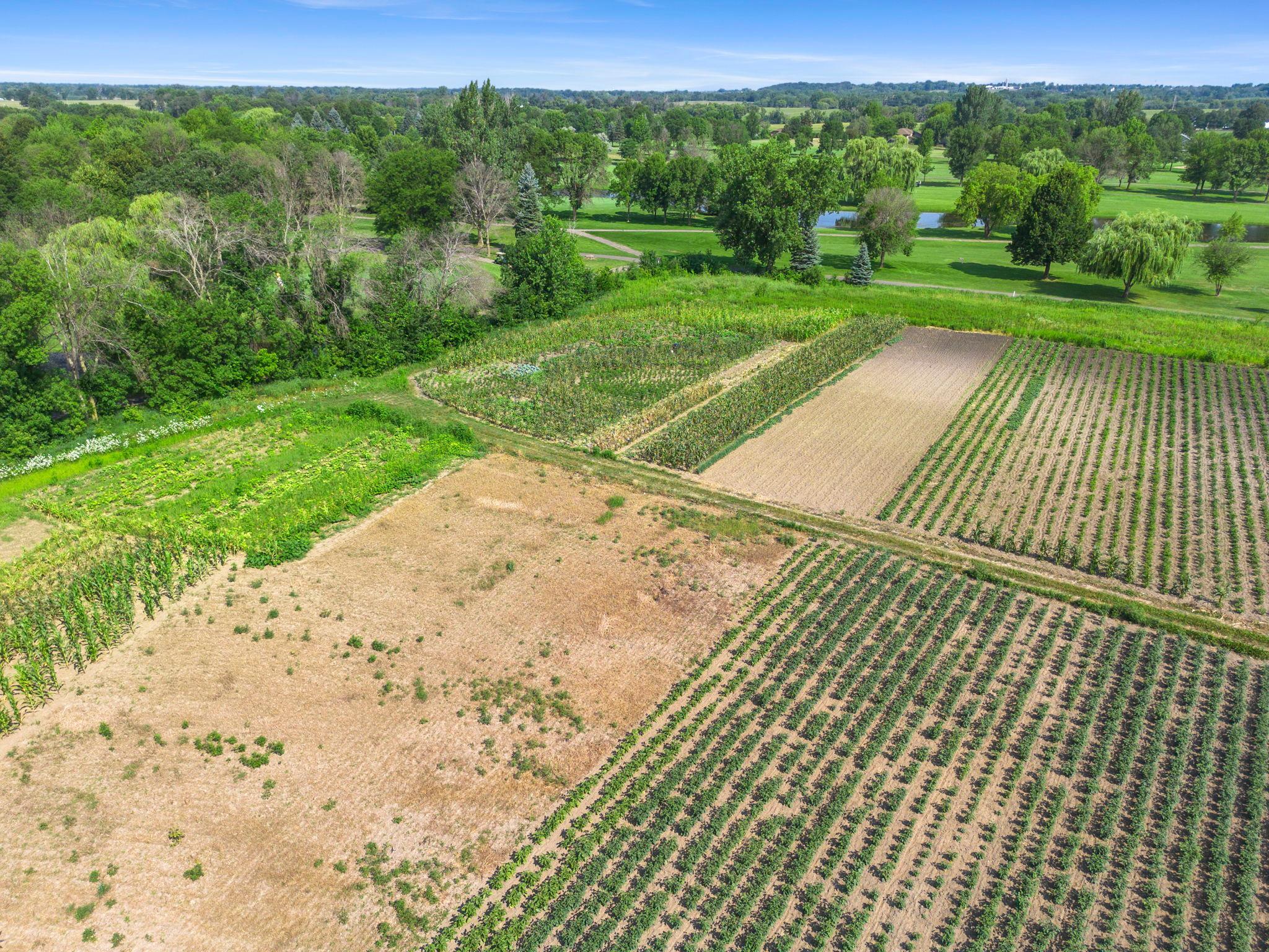 View of Residential at 10625 County Road 116, Corcoran MN 55374, Corcoran (3 of 13) - Mike Wilen | Minnesota Team Real Estate