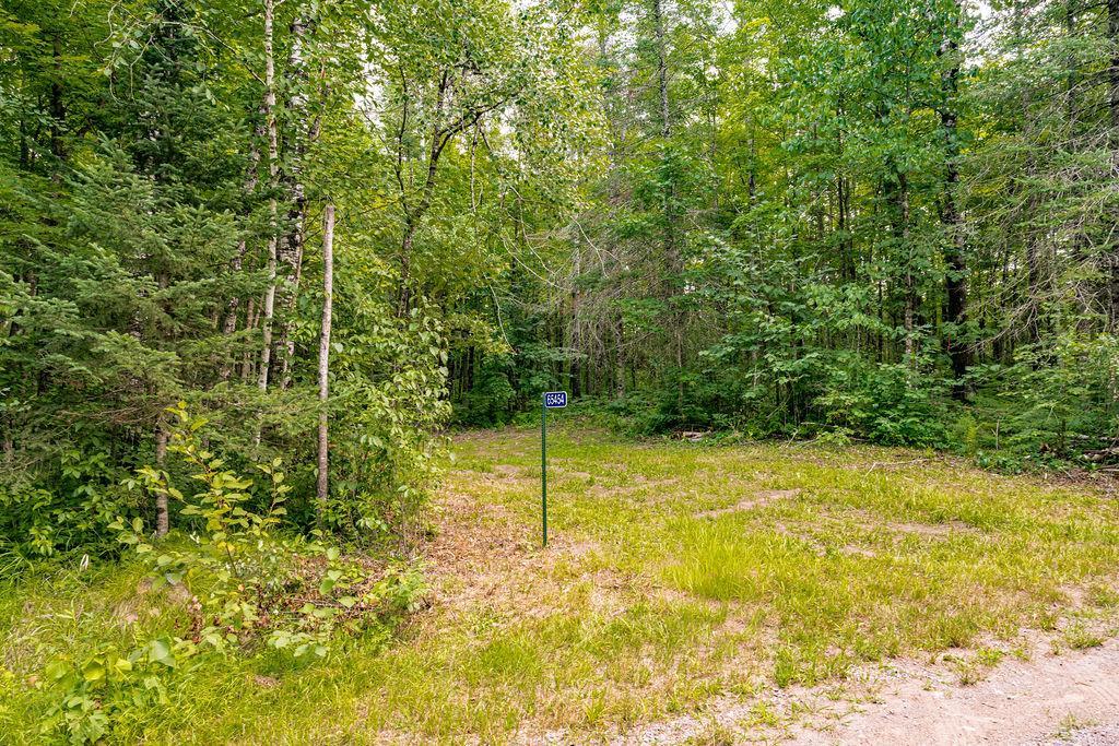 View of Land at 65454 Kingsdale Road, Sandstone MN 55072, Sandstone (2 of 19) - Mike Wilen | Minnesota Team Real Estate