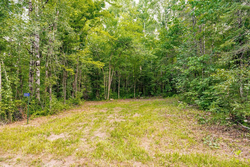 View of Land at 65454 Kingsdale Road, Sandstone MN 55072, Sandstone (3 of 19) - Mike Wilen | Minnesota Team Real Estate
