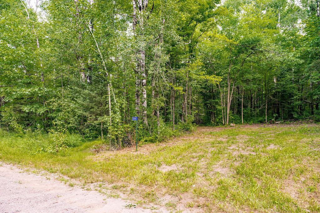 View of Land at 65454 Kingsdale Road, Sandstone MN 55072, Sandstone (4 of 19) - Mike Wilen | Minnesota Team Real Estate