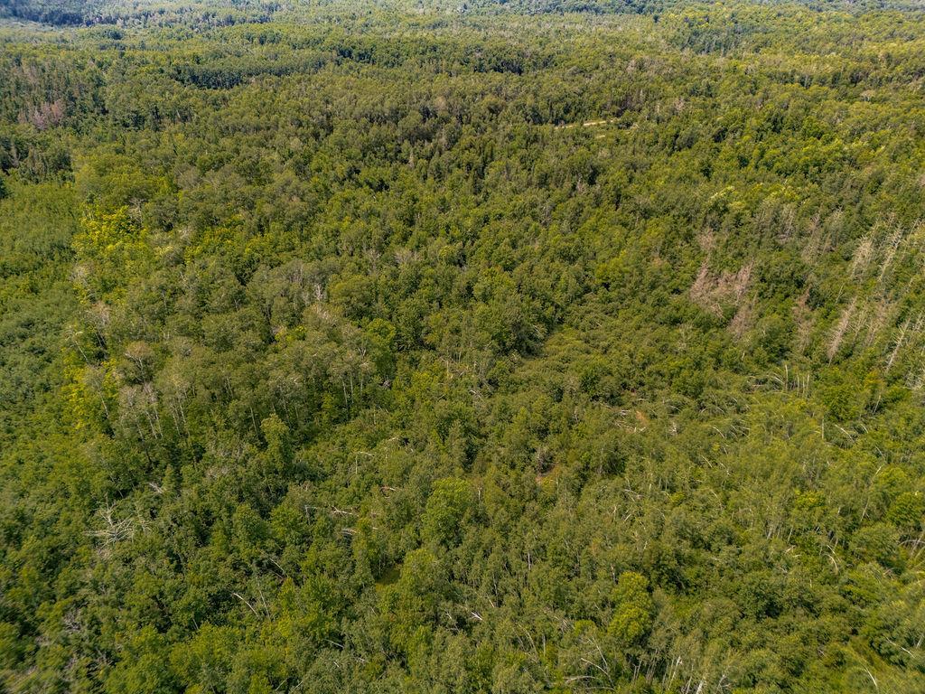 View of Land at 65454 Kingsdale Road, Sandstone MN 55072, Sandstone (14 of 19) - Mike Wilen | Minnesota Team Real Estate