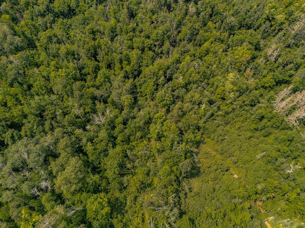 View of Land at 65454 Kingsdale Road, Sandstone MN 55072, Sandstone (15 of 19) - Mike Wilen | Minnesota Team Real Estate