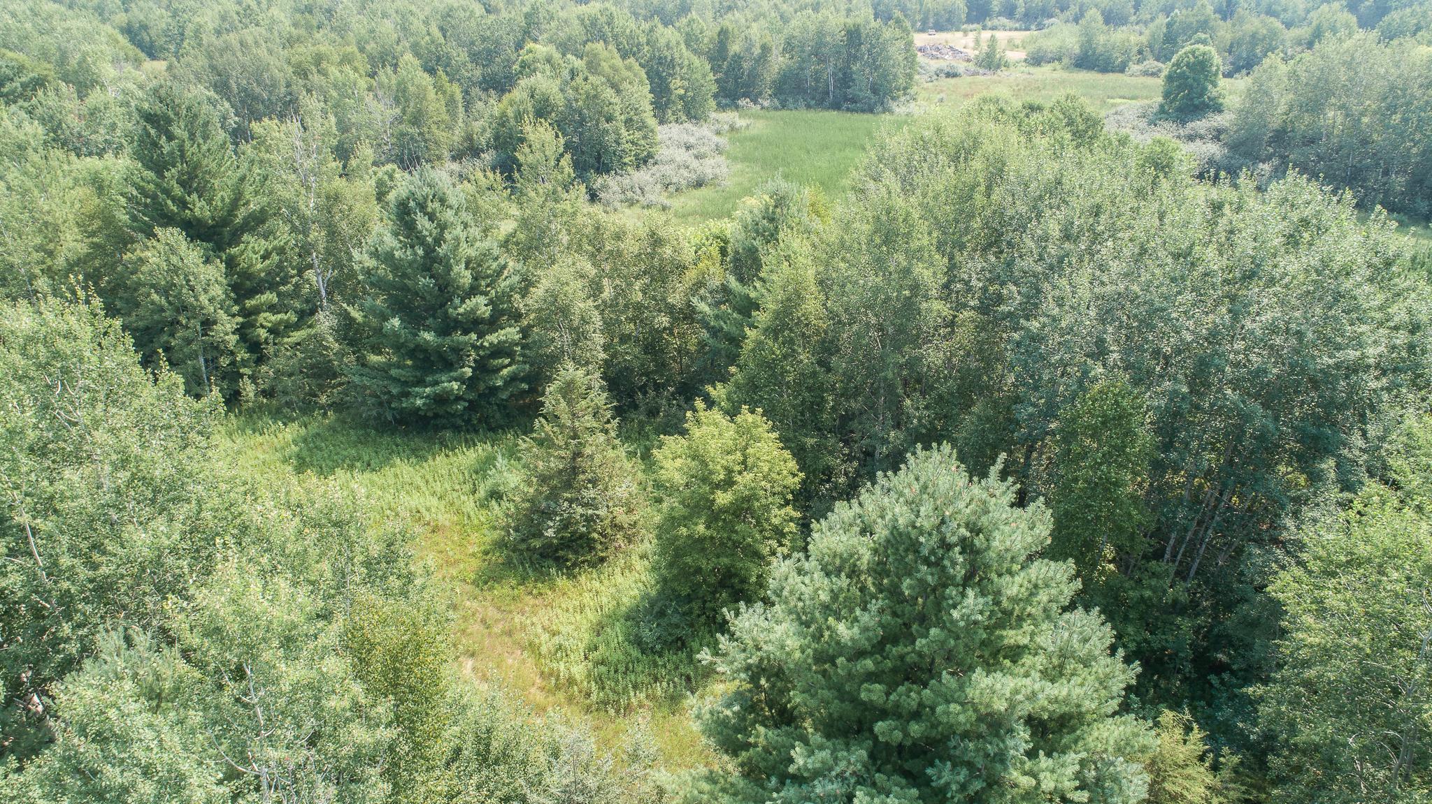 View of Land at TBD Galaxy Avenue, Harris MN 55032, Harris (2 of 11) - Mike Wilen | Minnesota Team Real Estate