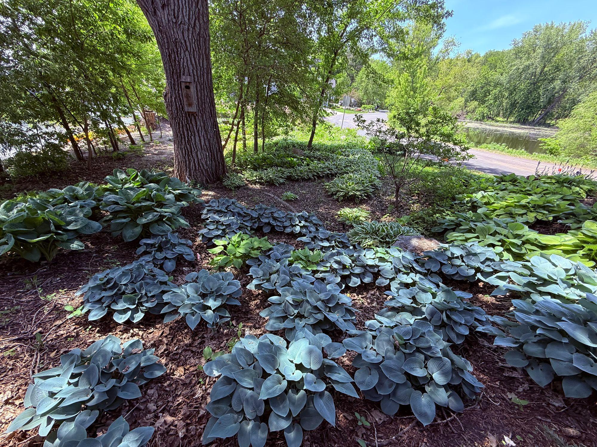 View of Residential at 14484 Shady Beach Trail, Prior Lake MN 55372, Prior Lake (31 of 96) - Mike Wilen | Minnesota Team Real Estate