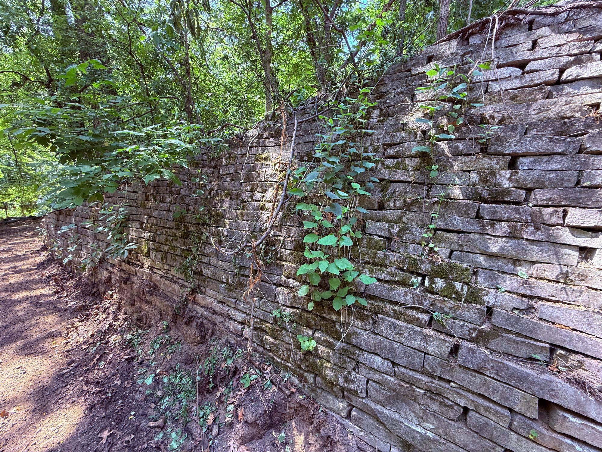 View of Land at 11800 Live Oak Dr, Minnetonka MN 55305, Minnetonka (11 of 13) - Mike Wilen | Minnesota Team Real Estate