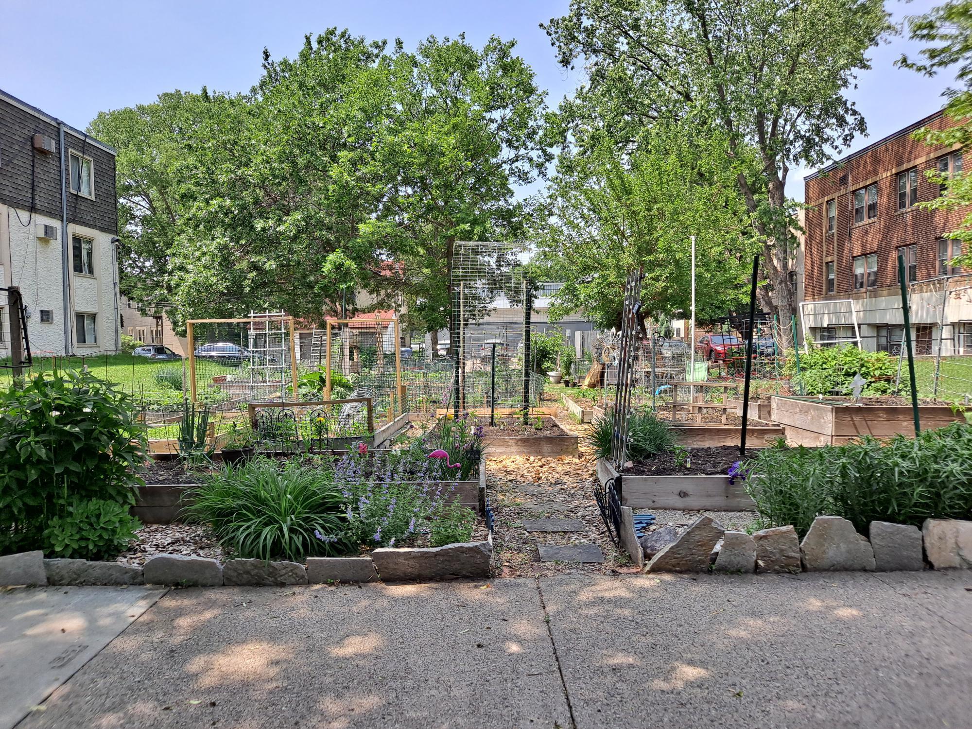 View of Land at 3228 Garfield Avenue, Minneapolis MN 55408, Minneapolis - Mike Wilen | Minnesota Team Real Estate