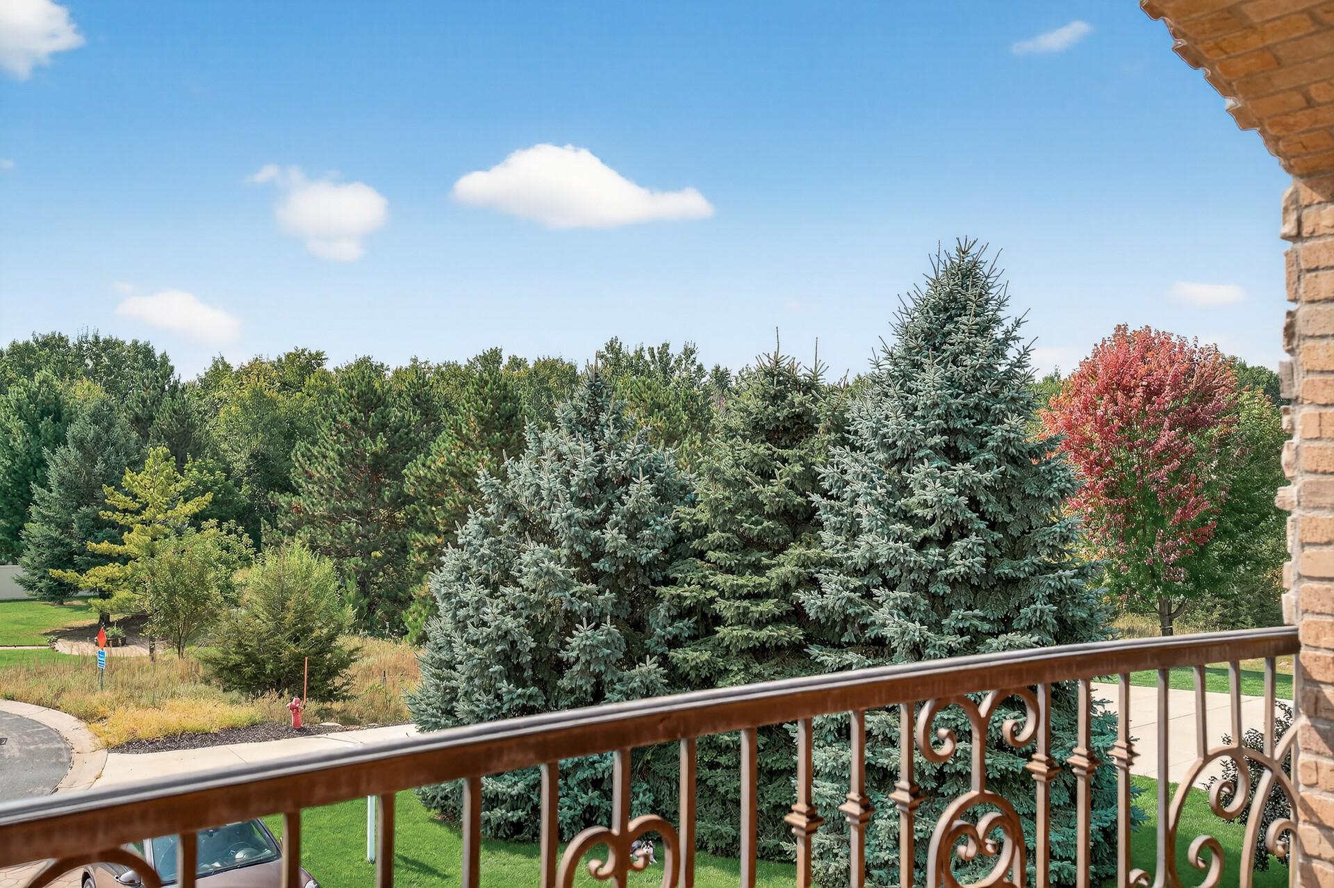 View of Residential at 1475 162nd Avenue, Andover MN 55304, Andover (28 of 66) - Mike Wilen | Minnesota Team Real Estate