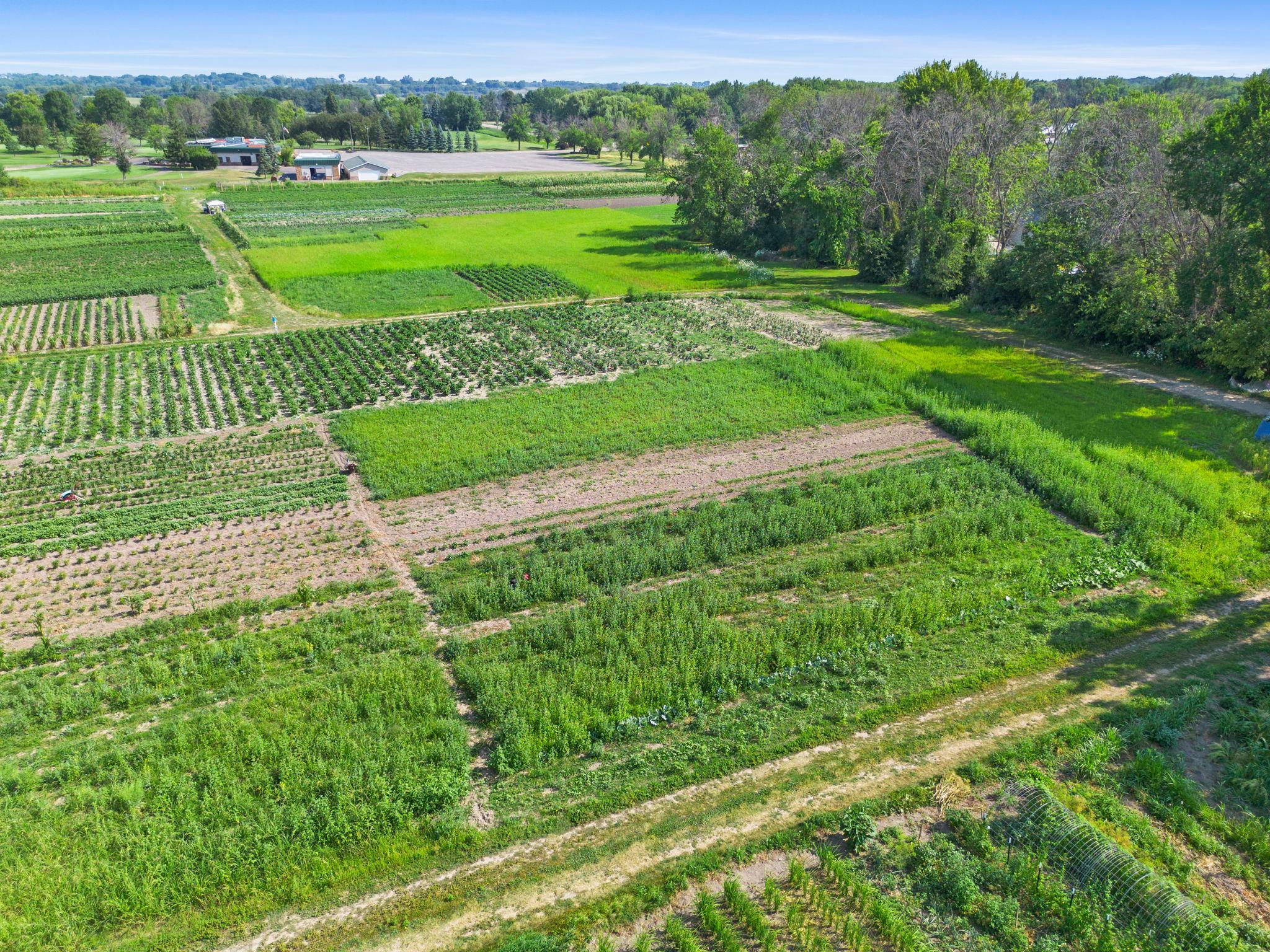 View of Land at 10625 County Rd 116, Corcoran MN 55374, Corcoran (7 of 12) - Mike Wilen | Minnesota Team Real Estate