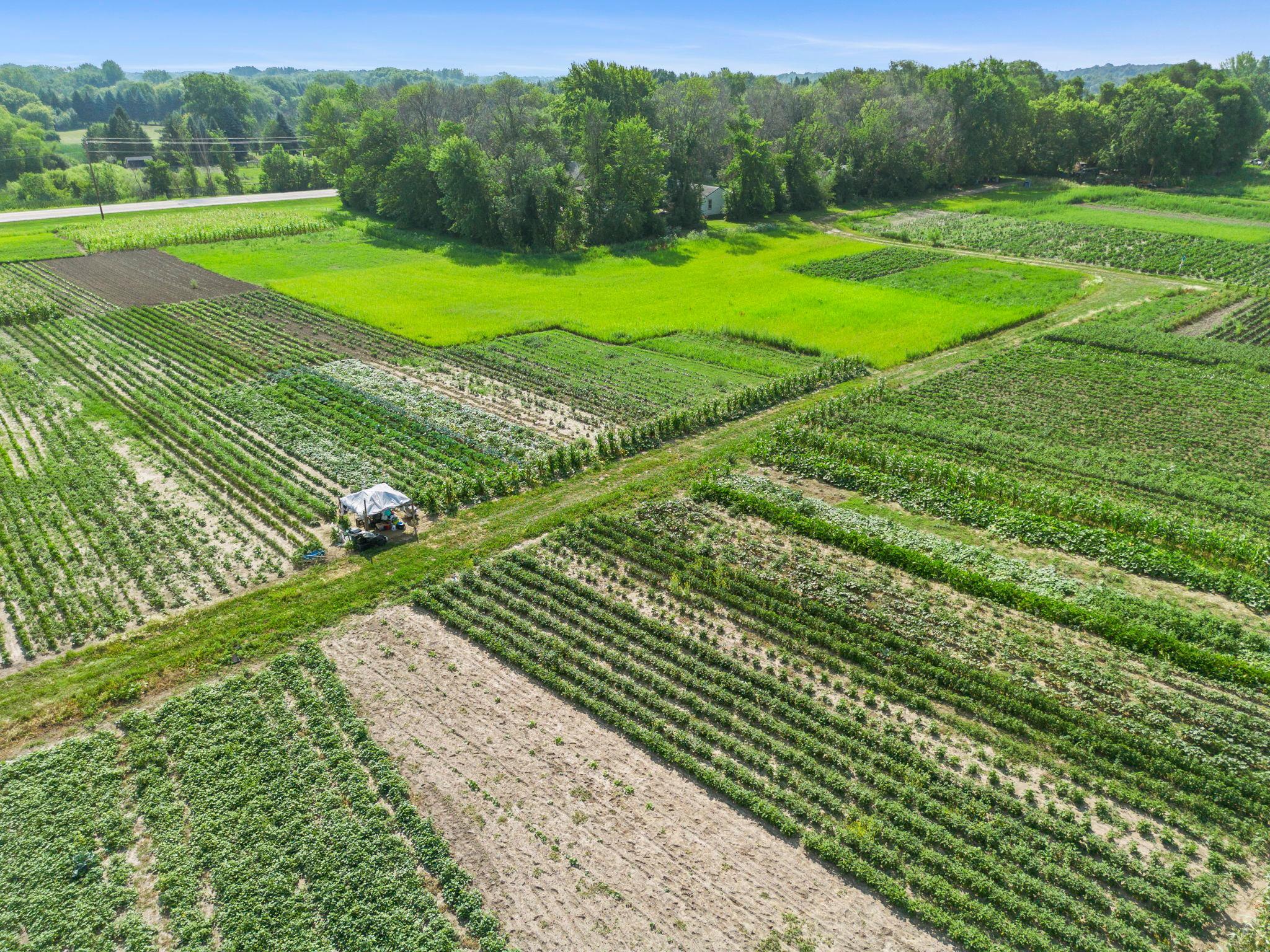 View of Land at 10625 County Rd 116, Corcoran MN 55374, Corcoran (5 of 12) - Mike Wilen | Minnesota Team Real Estate