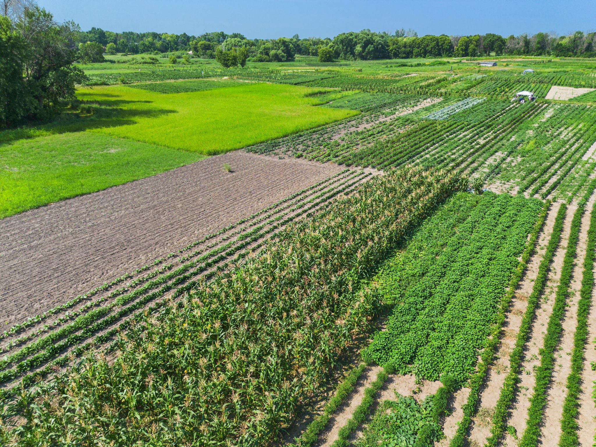 View of Land at 10625 County Rd 116, Corcoran MN 55374, Corcoran (4 of 12) - Mike Wilen | Minnesota Team Real Estate