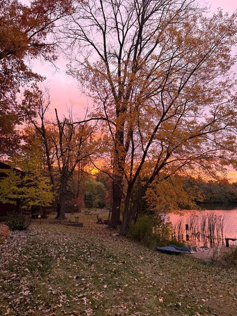 View of Residential at 700 Arbogast Street, Shoreview MN 55126, Shoreview (68 of 70) - Mike Wilen | Minnesota Team Real Estate