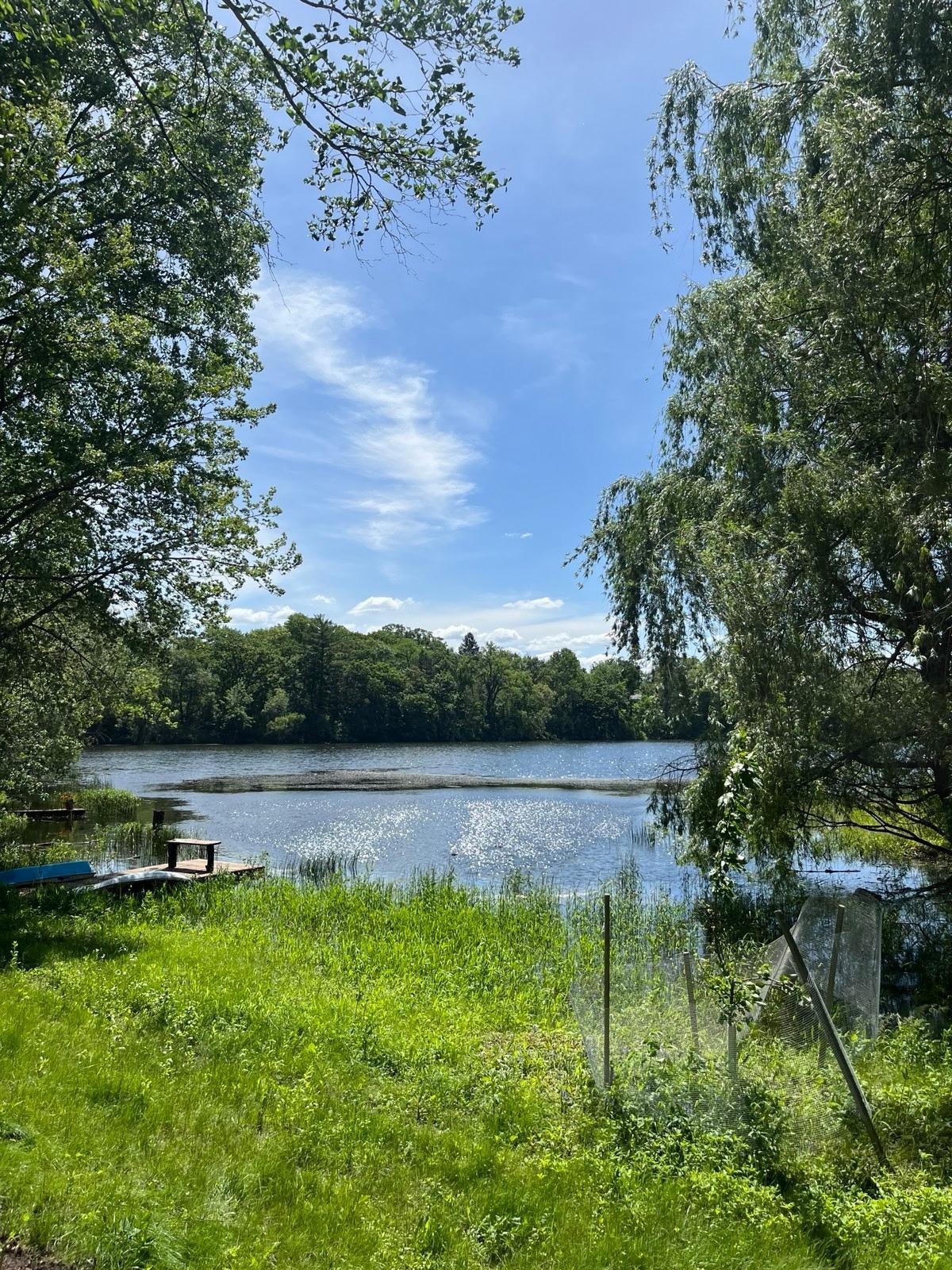 View of Residential at 700 Arbogast Street, Shoreview MN 55126, Shoreview (64 of 70) - Mike Wilen | Minnesota Team Real Estate