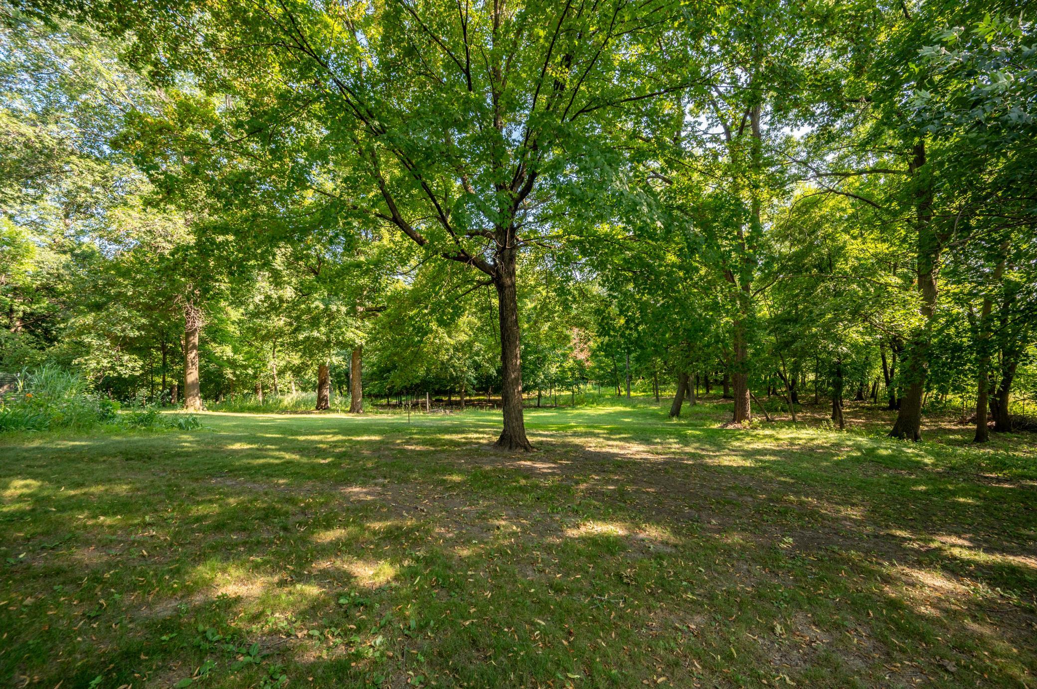 View of Residential at 26715 123rd Avenue, Rogers MN 55374, Rogers (38 of 42) - Mike Wilen | Minnesota Team Real Estate