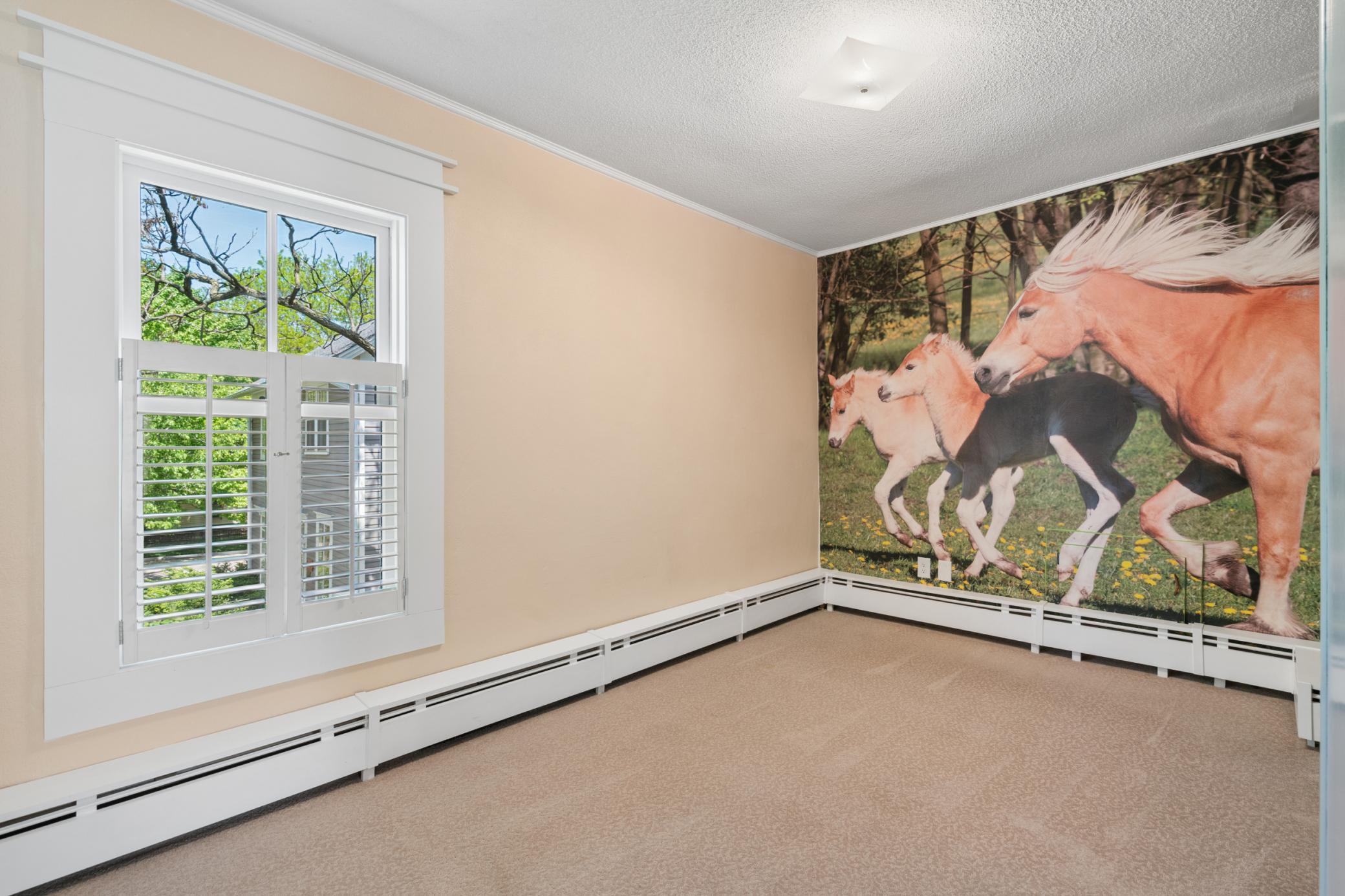 View of Residential at 113 4th Street, Carver MN 55315, Carver (31 of 55) - Mike Wilen | Minnesota Team Real Estate