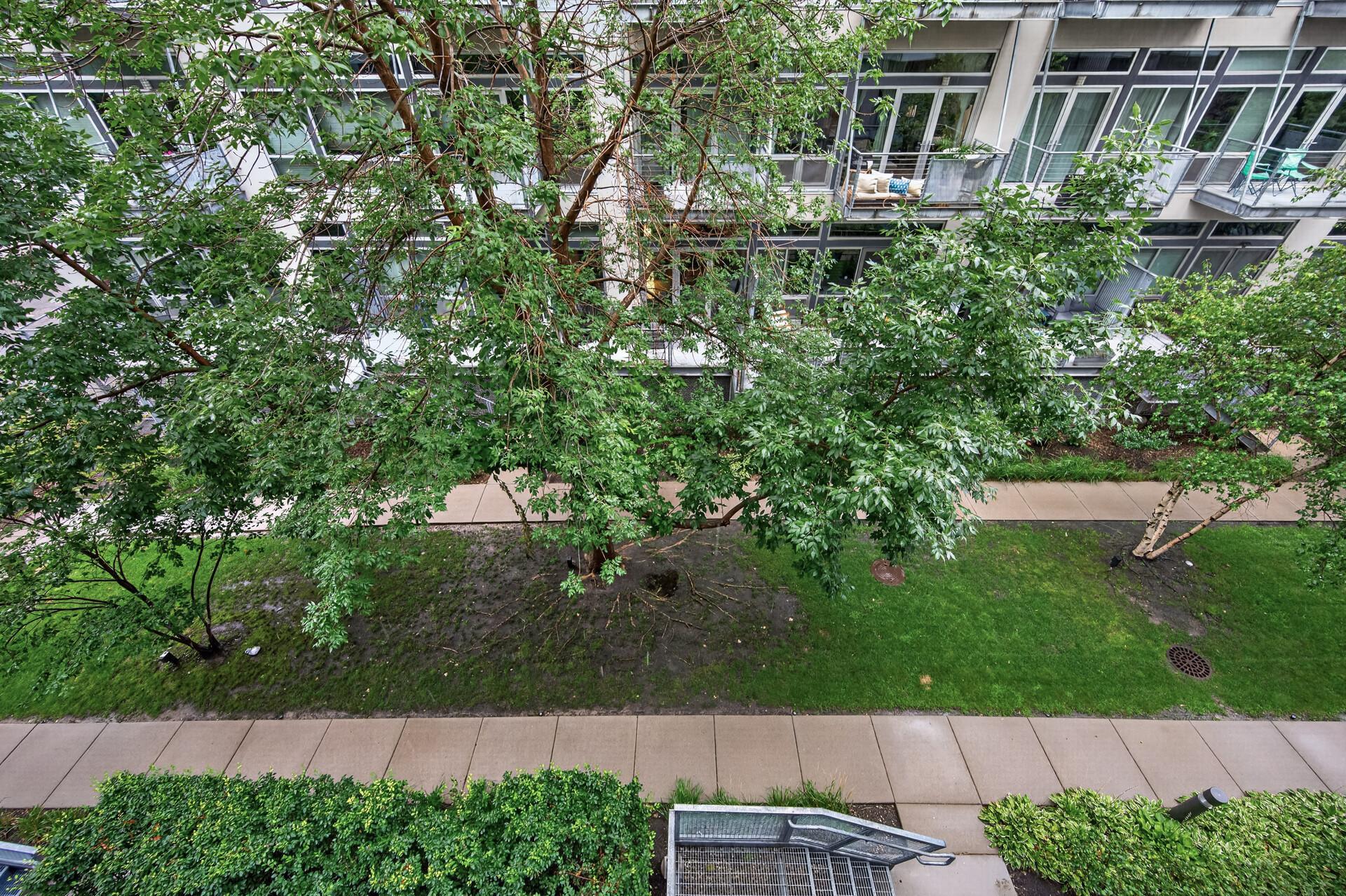 View of Residential at 720 4th Street #310, Minneapolis MN 55401, Minneapolis (68 of 85) - Mike Wilen | Minnesota Team Real Estate