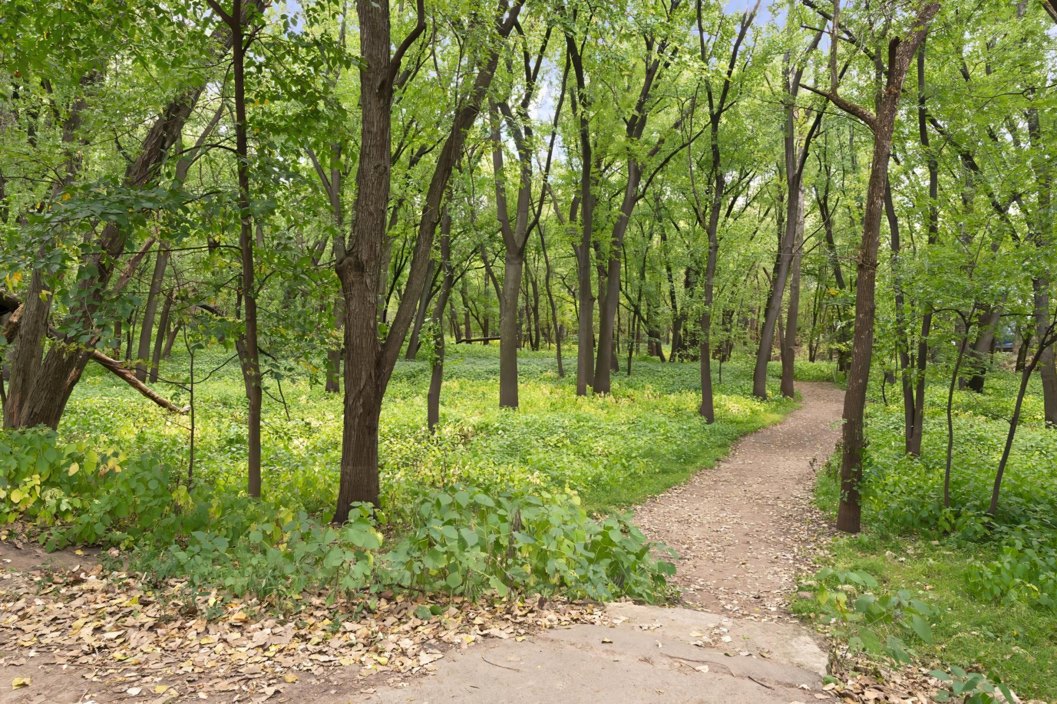 View of Residential at 1800 Graham Avenue #226, Saint Paul MN 55116, Saint Paul (34 of 35) - Mike Wilen | Minnesota Team Real Estate