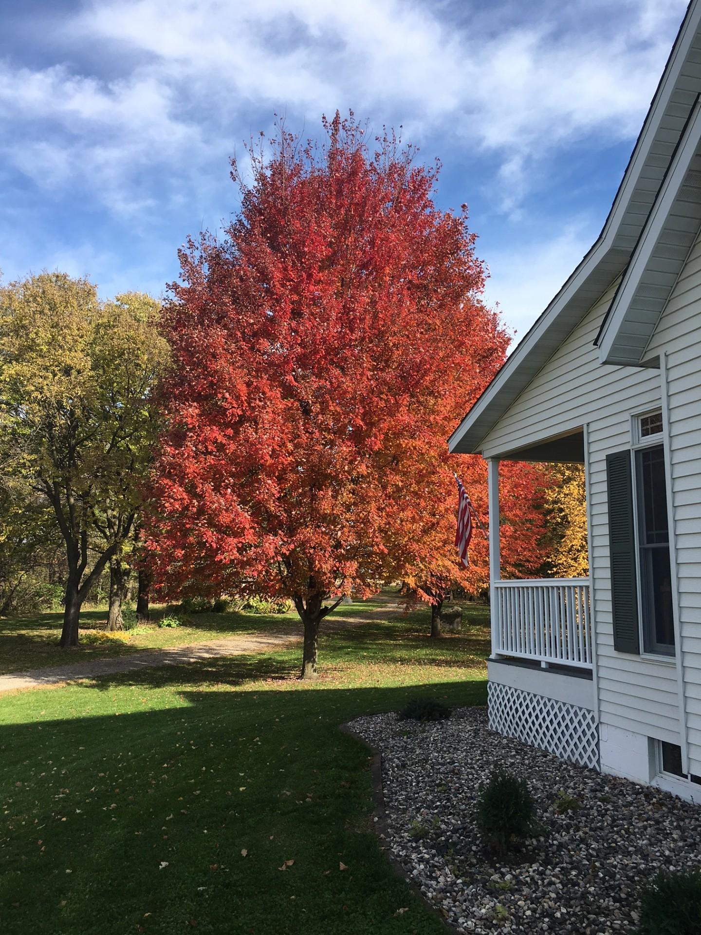 View of Residential at 23015 230th Street, Hutchinson MN 55350, Hutchinson (45 of 48) - Mike Wilen | Minnesota Team Real Estate