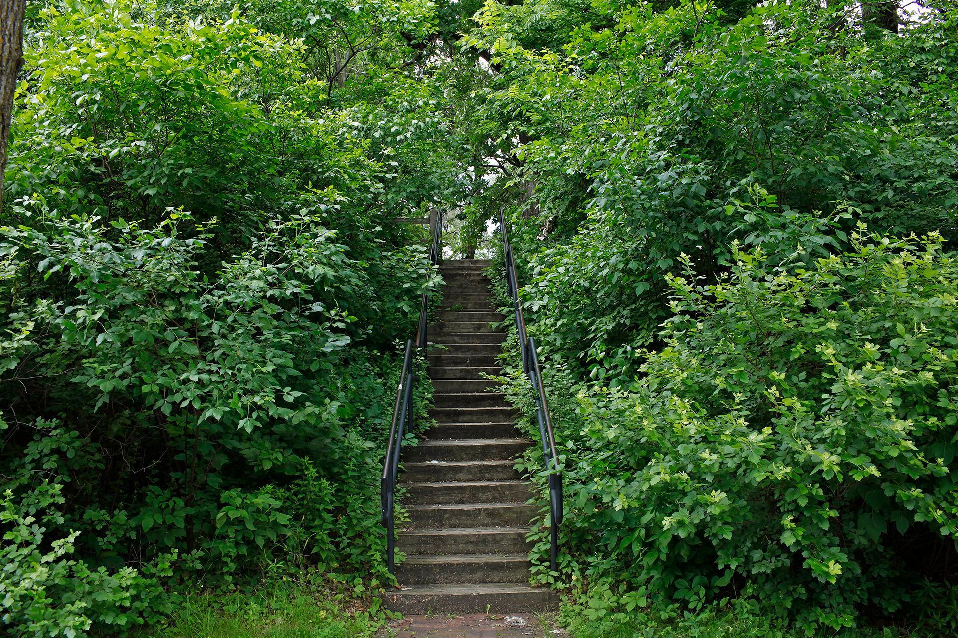 View of Residential at 1401 Franklin Avenue, Minneapolis MN 55414, Minneapolis (62 of 82) - Mike Wilen | Minnesota Team Real Estate