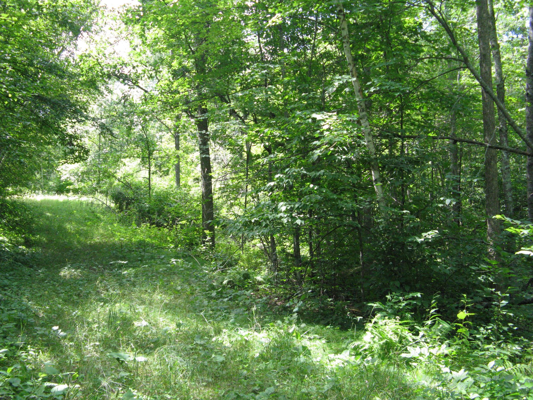 View of Land at TBD Alpine Circle, Breezy Point MN 56472, Breezy Point (3 of 12) - Mike Wilen | Minnesota Team Real Estate