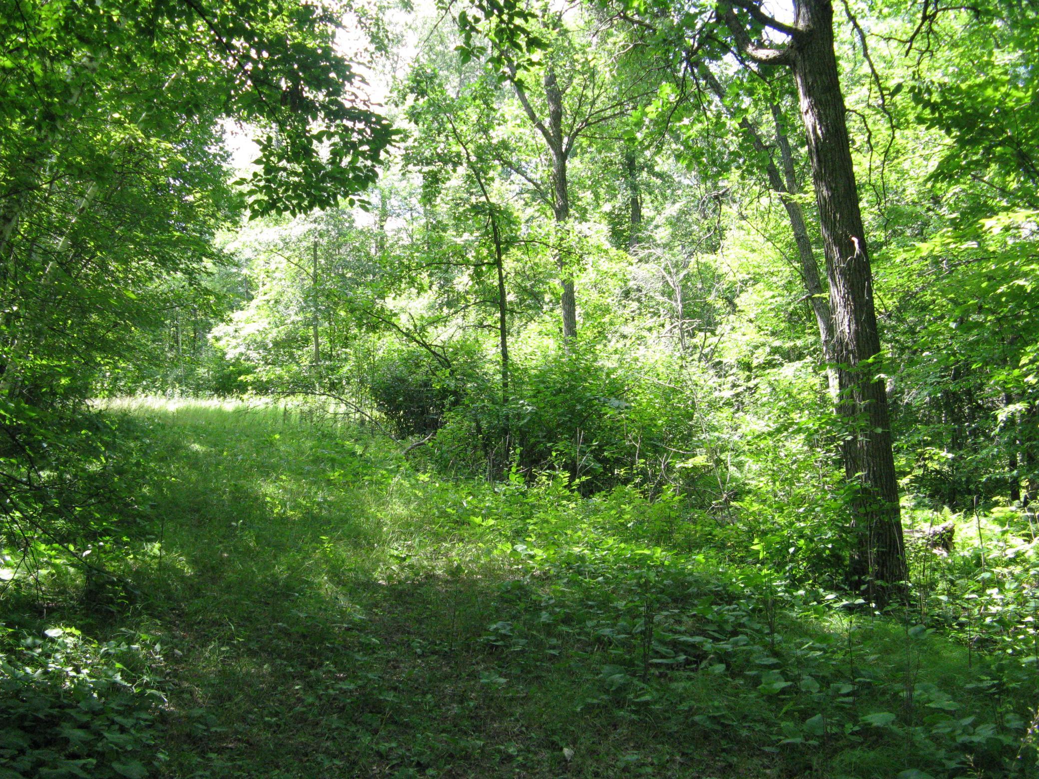 View of Land at TBD Alpine Circle, Breezy Point MN 56472, Breezy Point (4 of 12) - Mike Wilen | Minnesota Team Real Estate