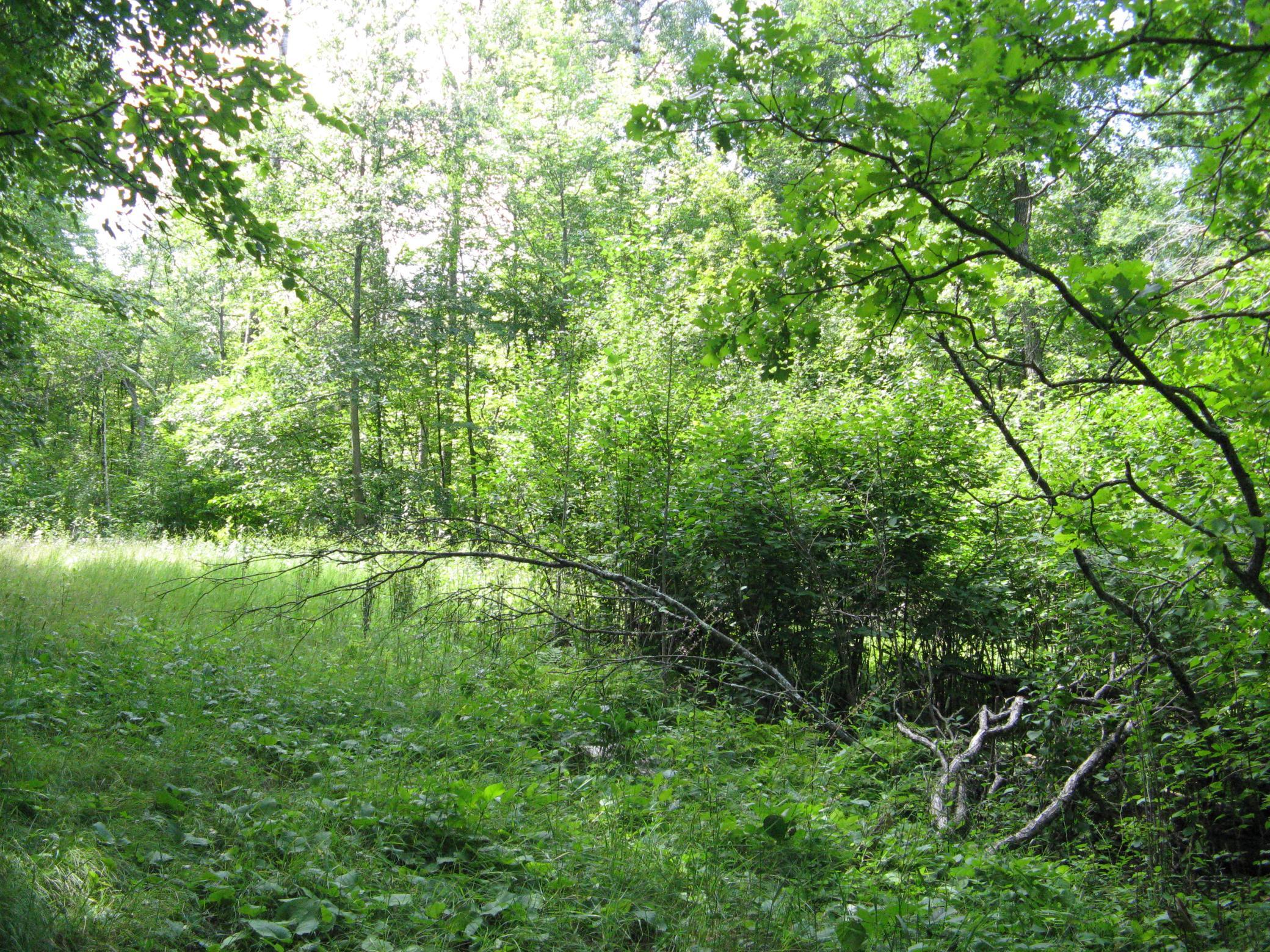 View of Land at TBD Alpine Circle, Breezy Point MN 56472, Breezy Point (5 of 12) - Mike Wilen | Minnesota Team Real Estate