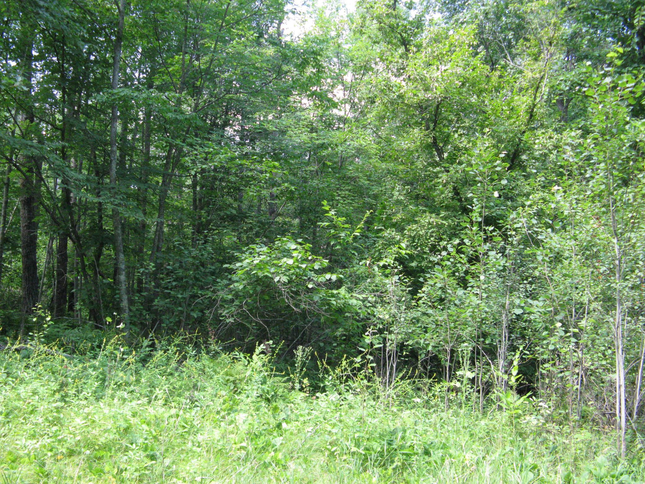 View of Land at TBD Alpine Circle, Breezy Point MN 56472, Breezy Point (7 of 12) - Mike Wilen | Minnesota Team Real Estate