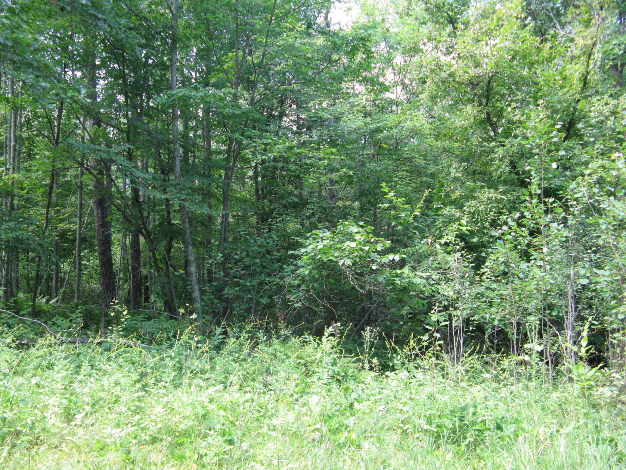 View of Land at TBD Alpine Circle, Breezy Point MN 56472, Breezy Point (8 of 12) - Mike Wilen | Minnesota Team Real Estate