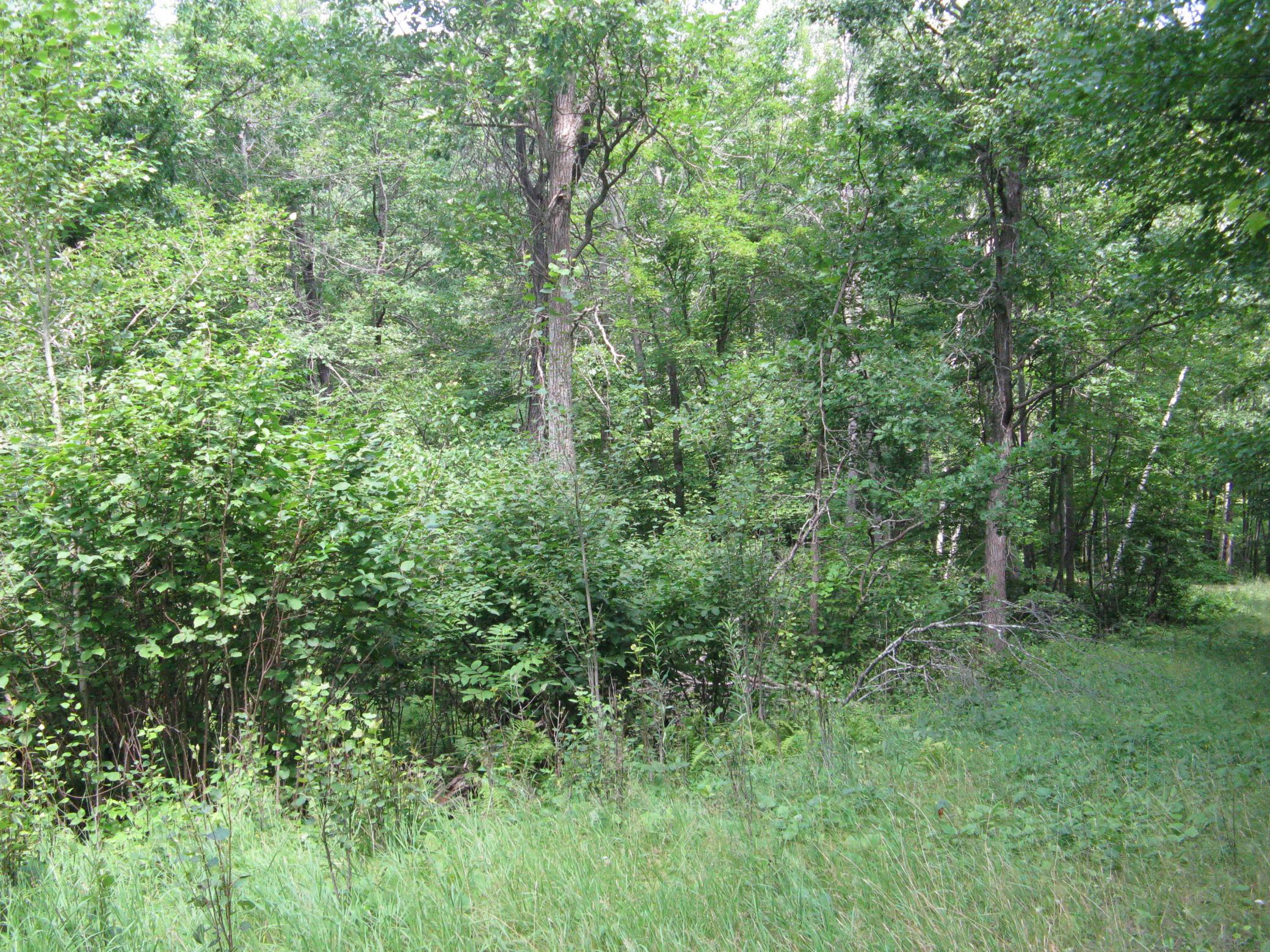 View of Land at TBD Alpine Circle, Breezy Point MN 56472, Breezy Point (10 of 12) - Mike Wilen | Minnesota Team Real Estate
