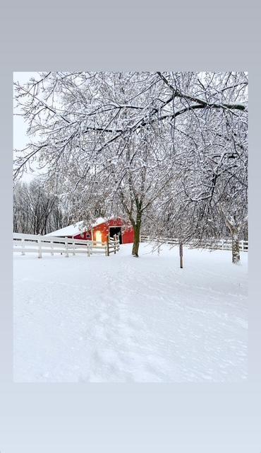 View of Residential at 433 County Road 39, Monticello MN 55362, Monticello (73 of 86) - Mike Wilen | Minnesota Team Real Estate