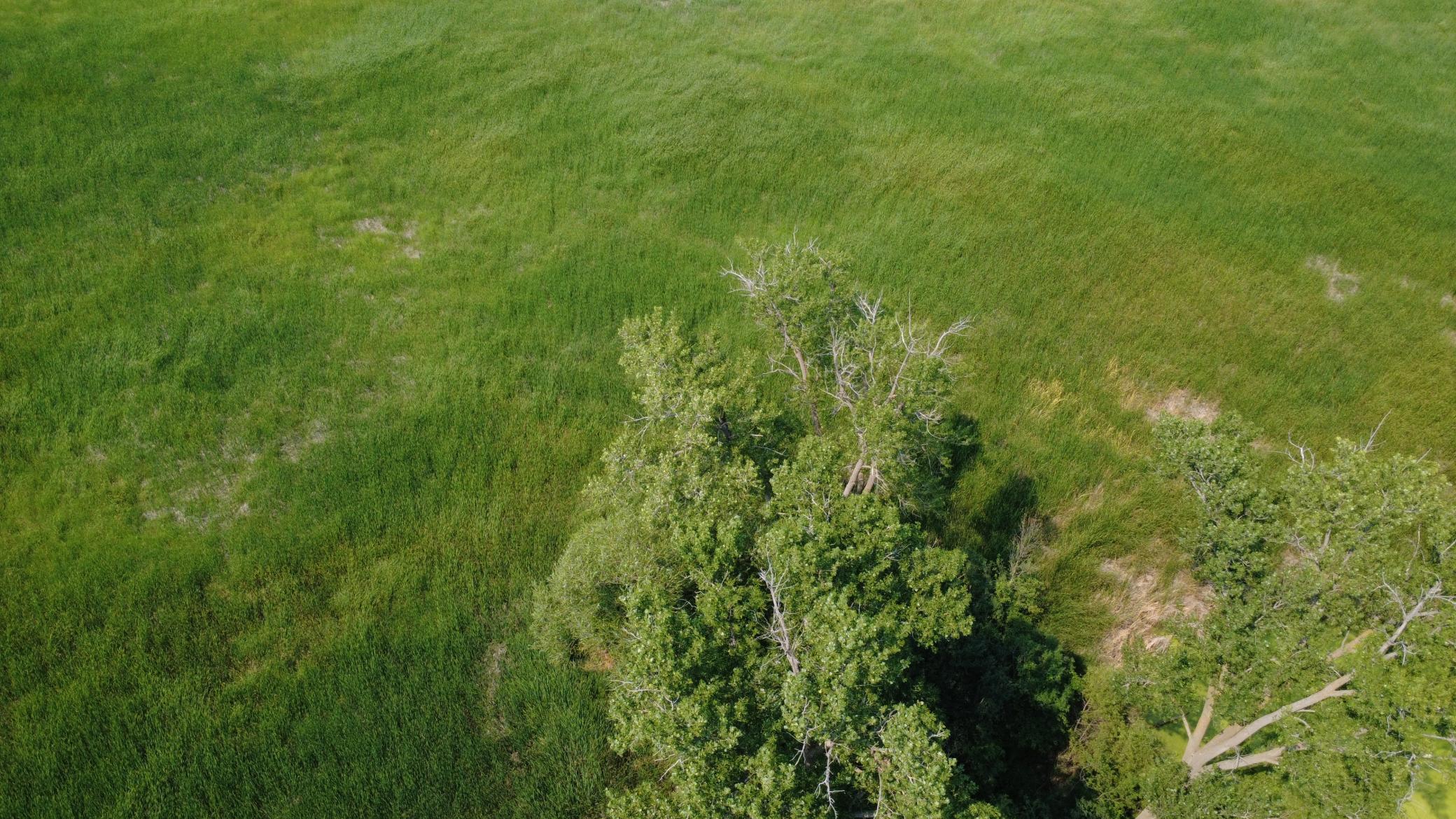 View of Land at XXX Ahern Avenue, Watertown MN 55388, Watertown (43 of 52) - Mike Wilen | Minnesota Team Real Estate