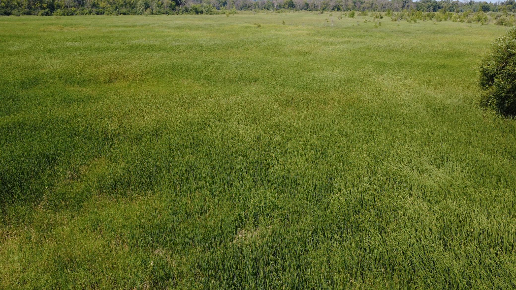 View of Land at XXX Ahern Avenue, Watertown MN 55388, Watertown (42 of 52) - Mike Wilen | Minnesota Team Real Estate