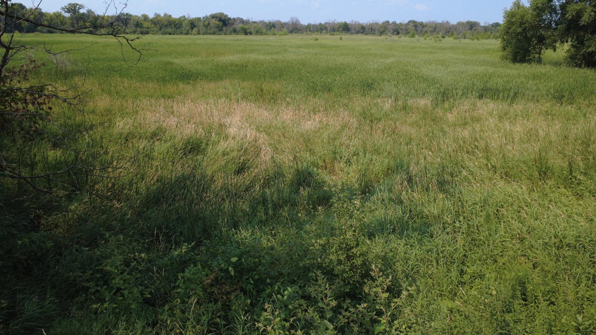 View of Land at XXX Ahern Avenue, Watertown MN 55388, Watertown (40 of 52) - Mike Wilen | Minnesota Team Real Estate