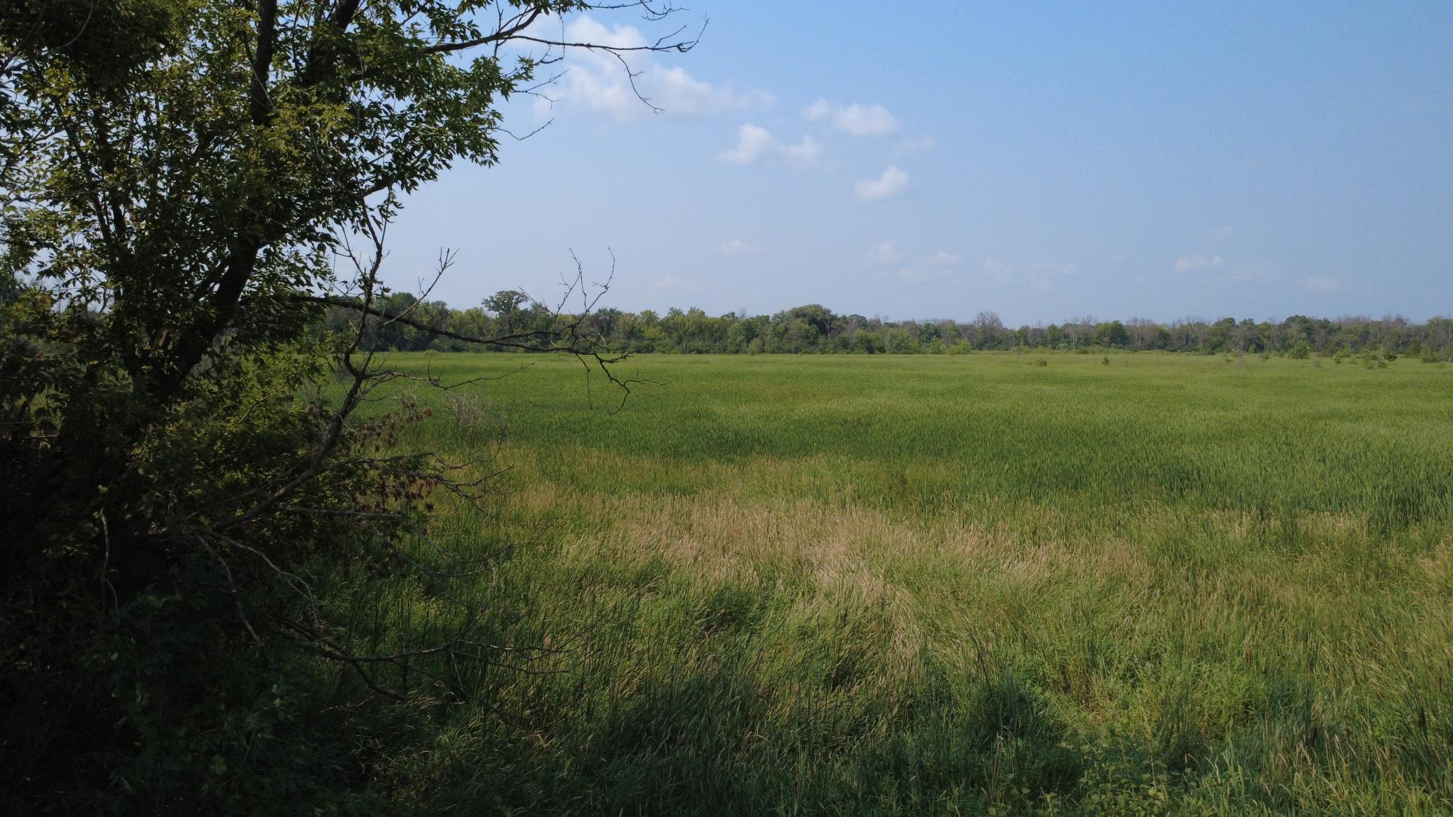 View of Land at XXX Ahern Avenue, Watertown MN 55388, Watertown (39 of 52) - Mike Wilen | Minnesota Team Real Estate