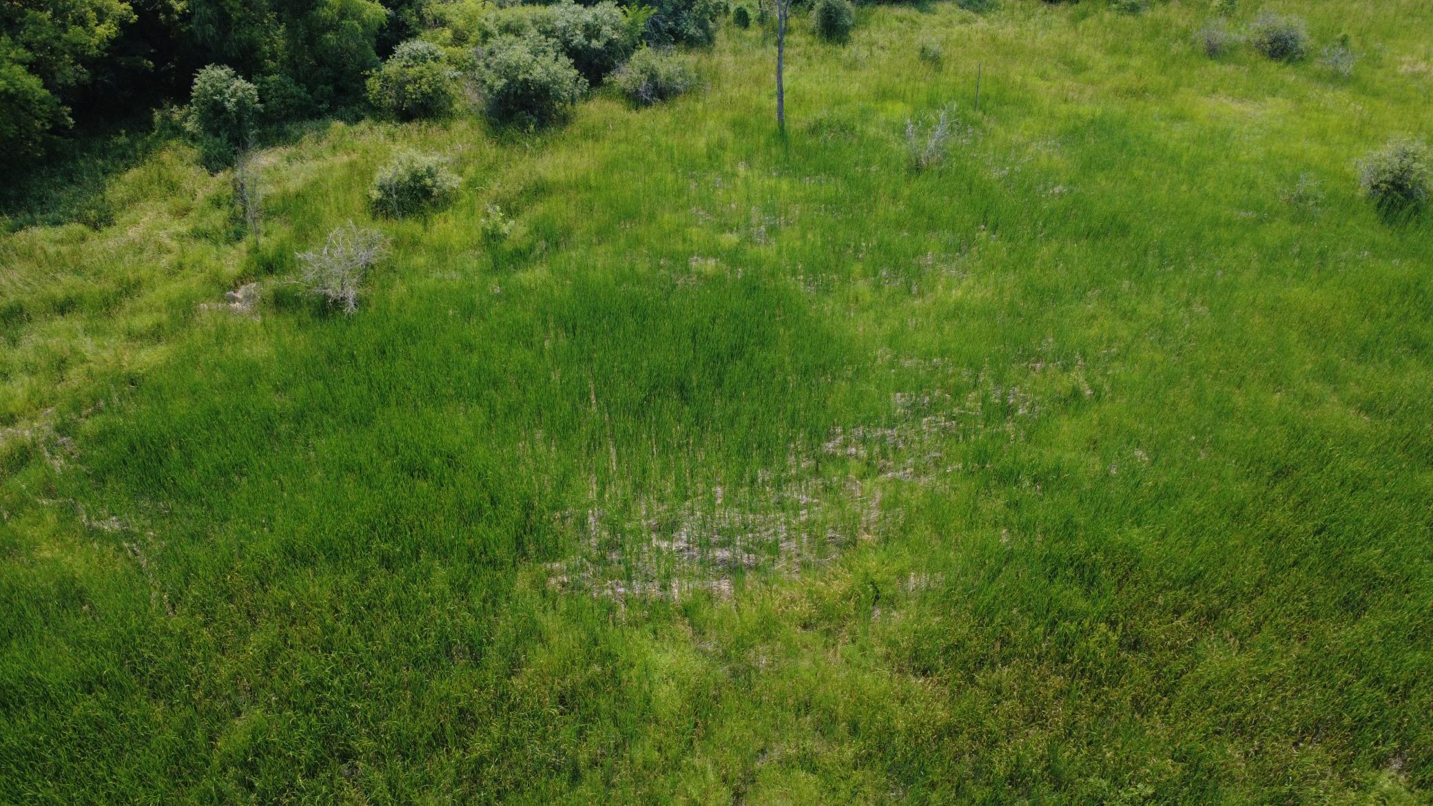 View of Land at XXX Ahern Avenue, Watertown MN 55388, Watertown (38 of 52) - Mike Wilen | Minnesota Team Real Estate