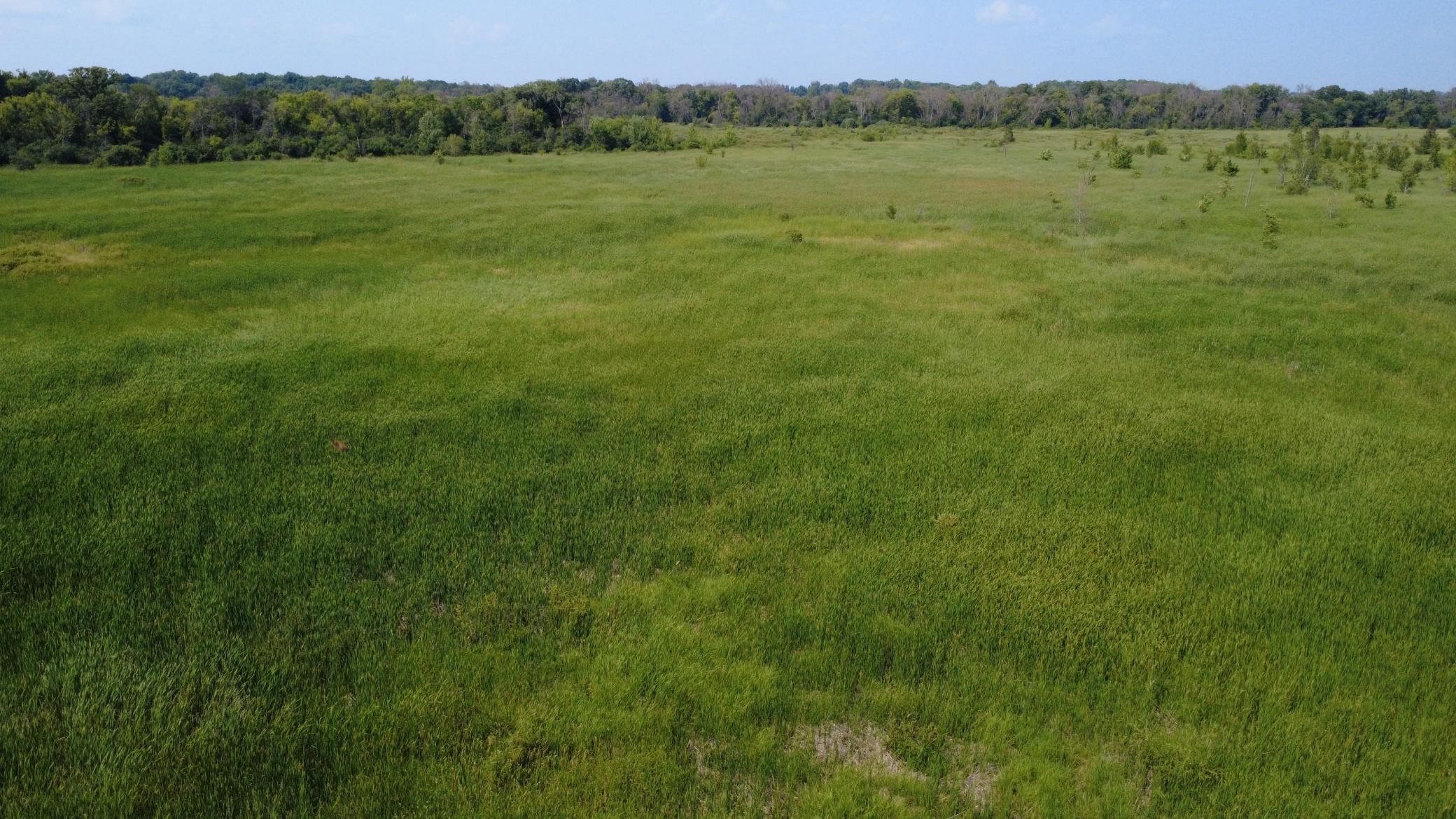 View of Land at XXX Ahern Avenue, Watertown MN 55388, Watertown (37 of 52) - Mike Wilen | Minnesota Team Real Estate