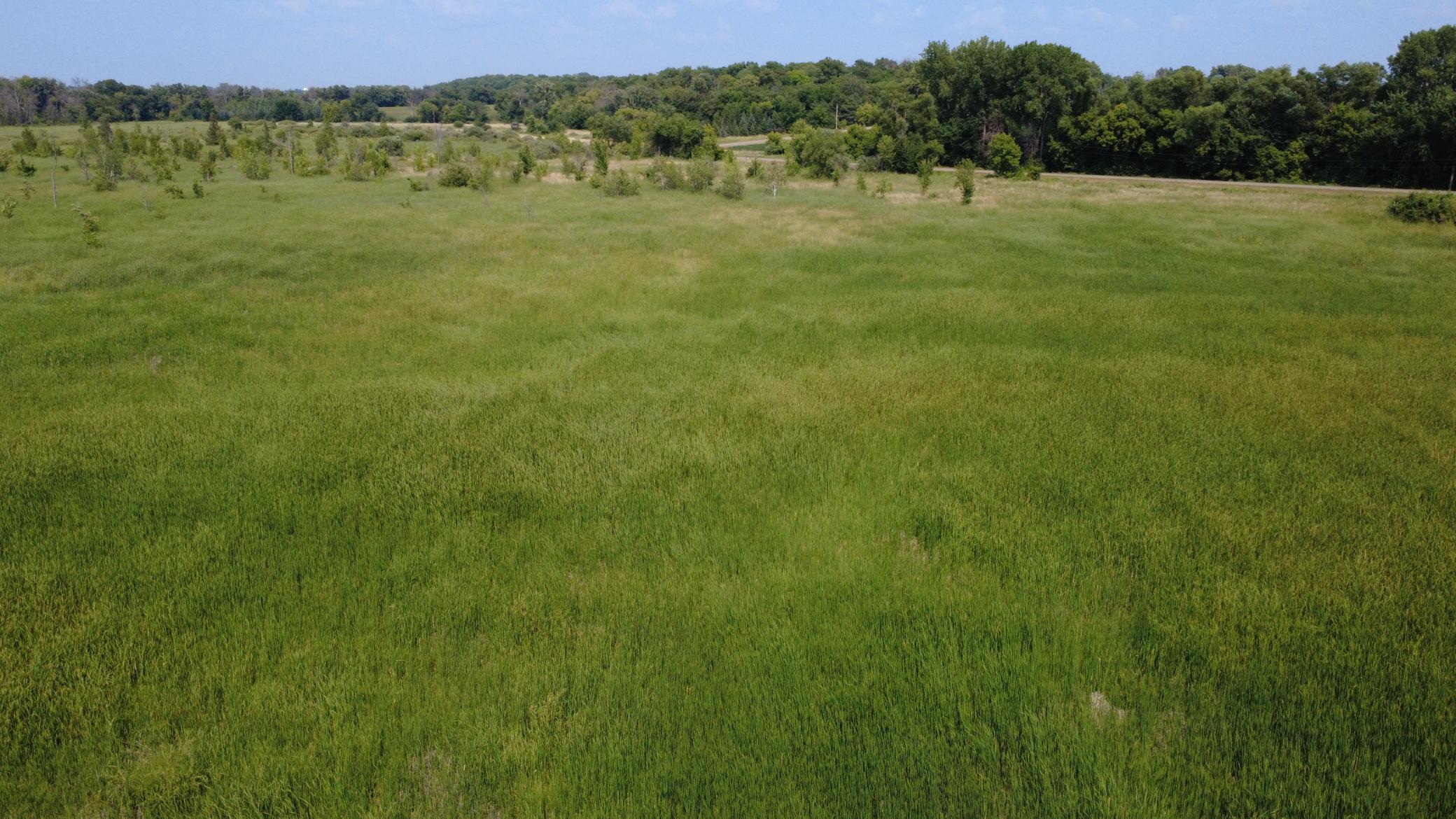 View of Land at XXX Ahern Avenue, Watertown MN 55388, Watertown (36 of 52) - Mike Wilen | Minnesota Team Real Estate