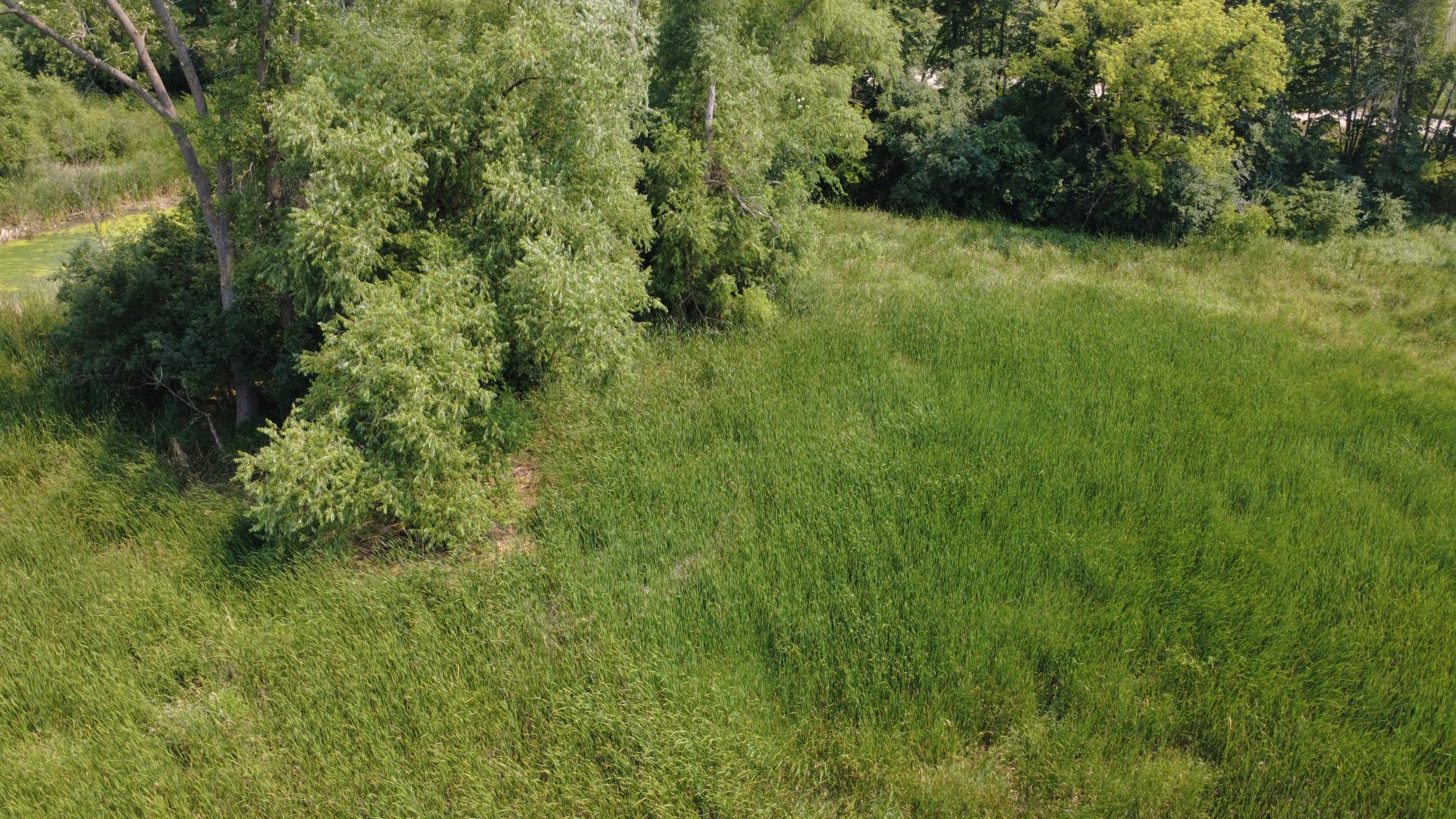 View of Land at XXX Ahern Avenue, Watertown MN 55388, Watertown (34 of 52) - Mike Wilen | Minnesota Team Real Estate