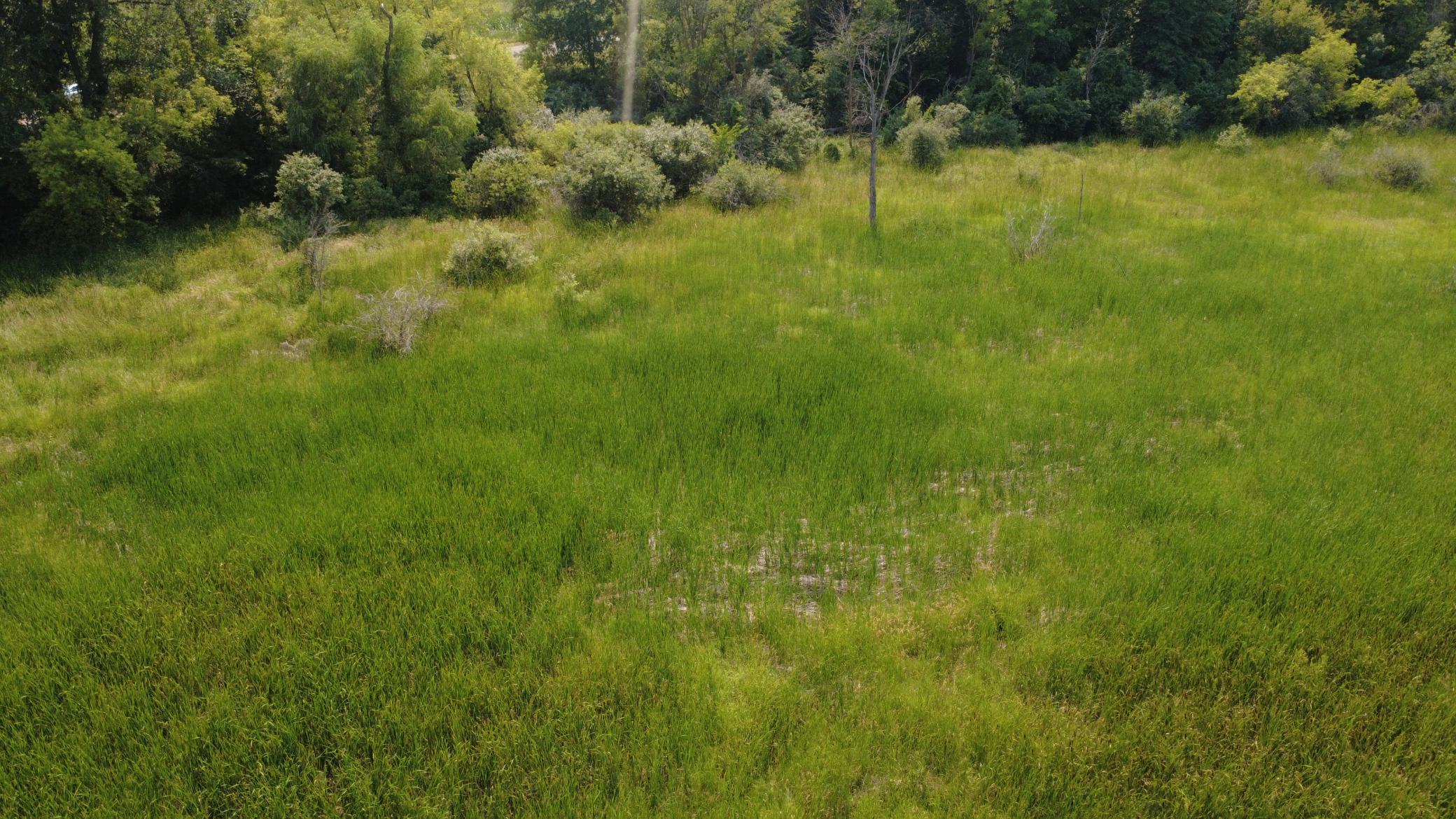 View of Land at XXX Ahern Avenue, Watertown MN 55388, Watertown (32 of 52) - Mike Wilen | Minnesota Team Real Estate